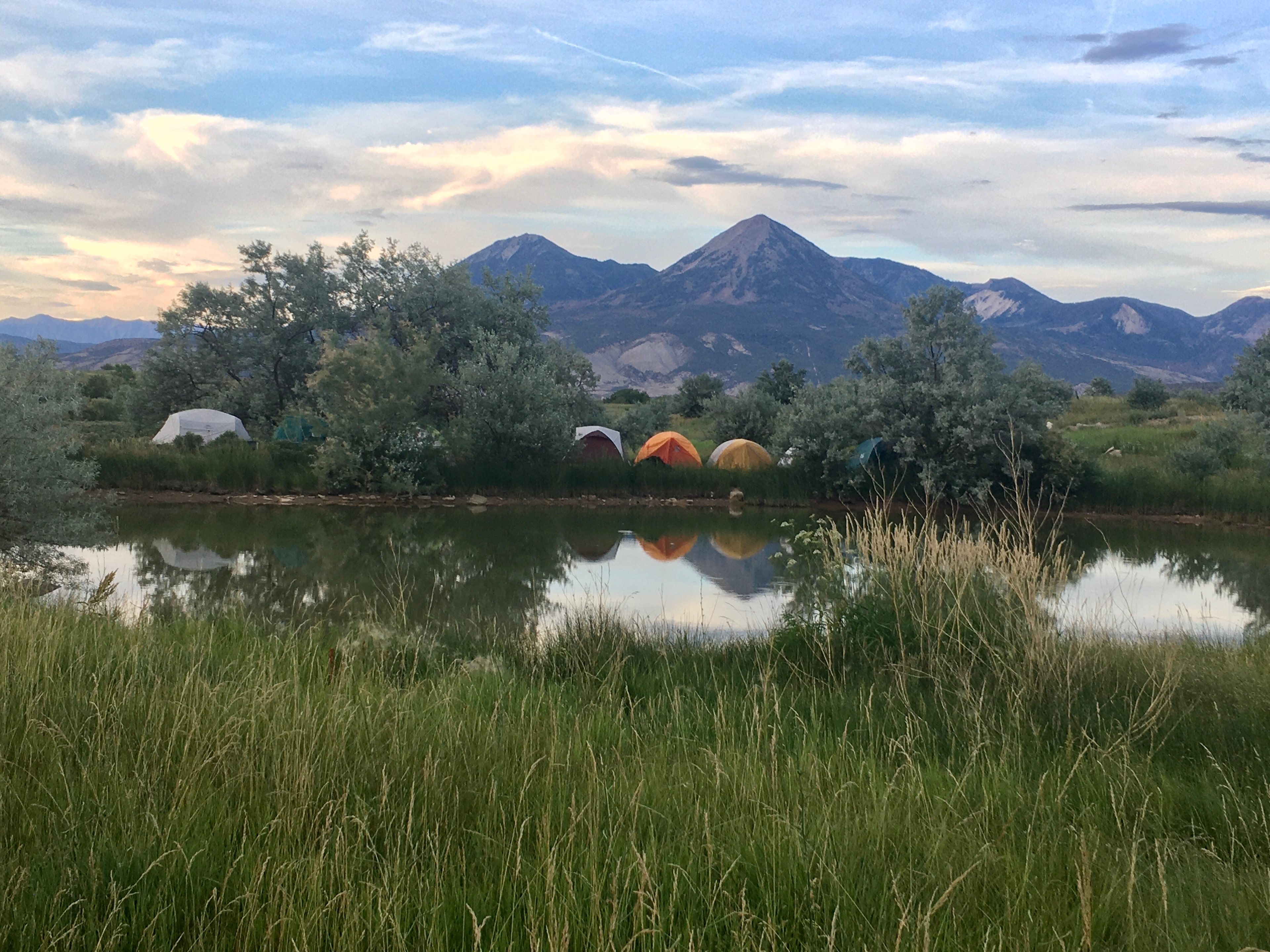 FestiVille: Juniper Springs