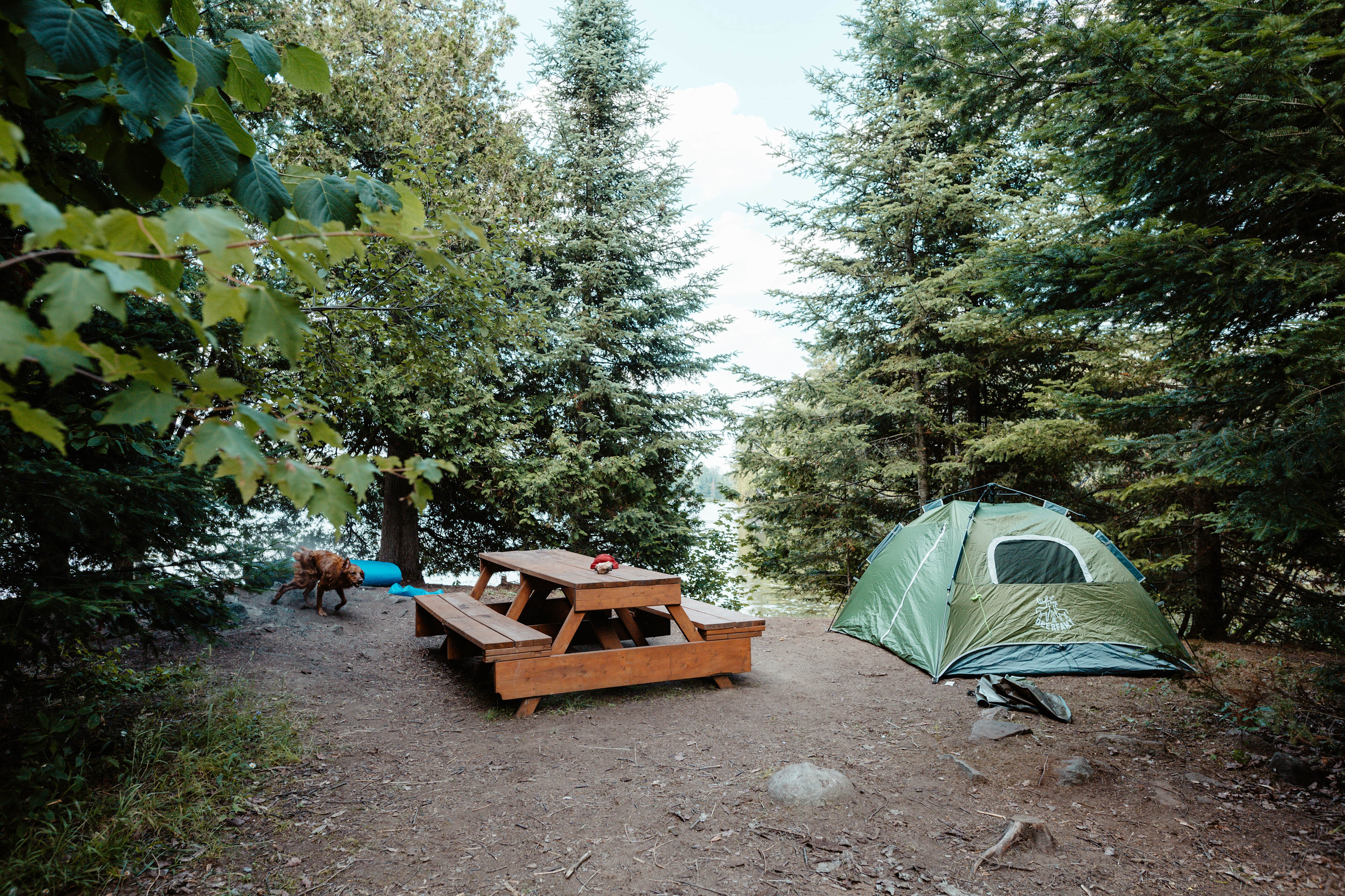 Our campsite