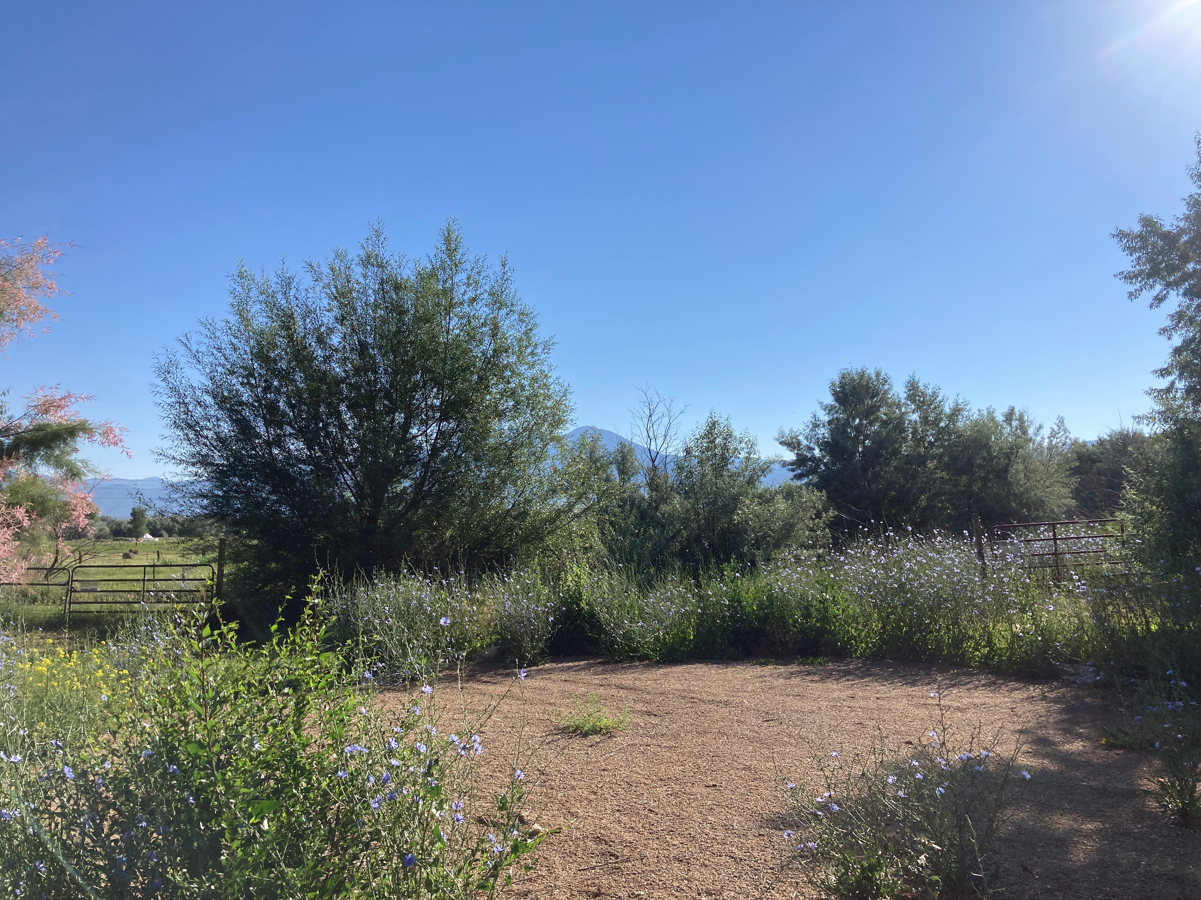 Mágica Sacred Spring Oasis