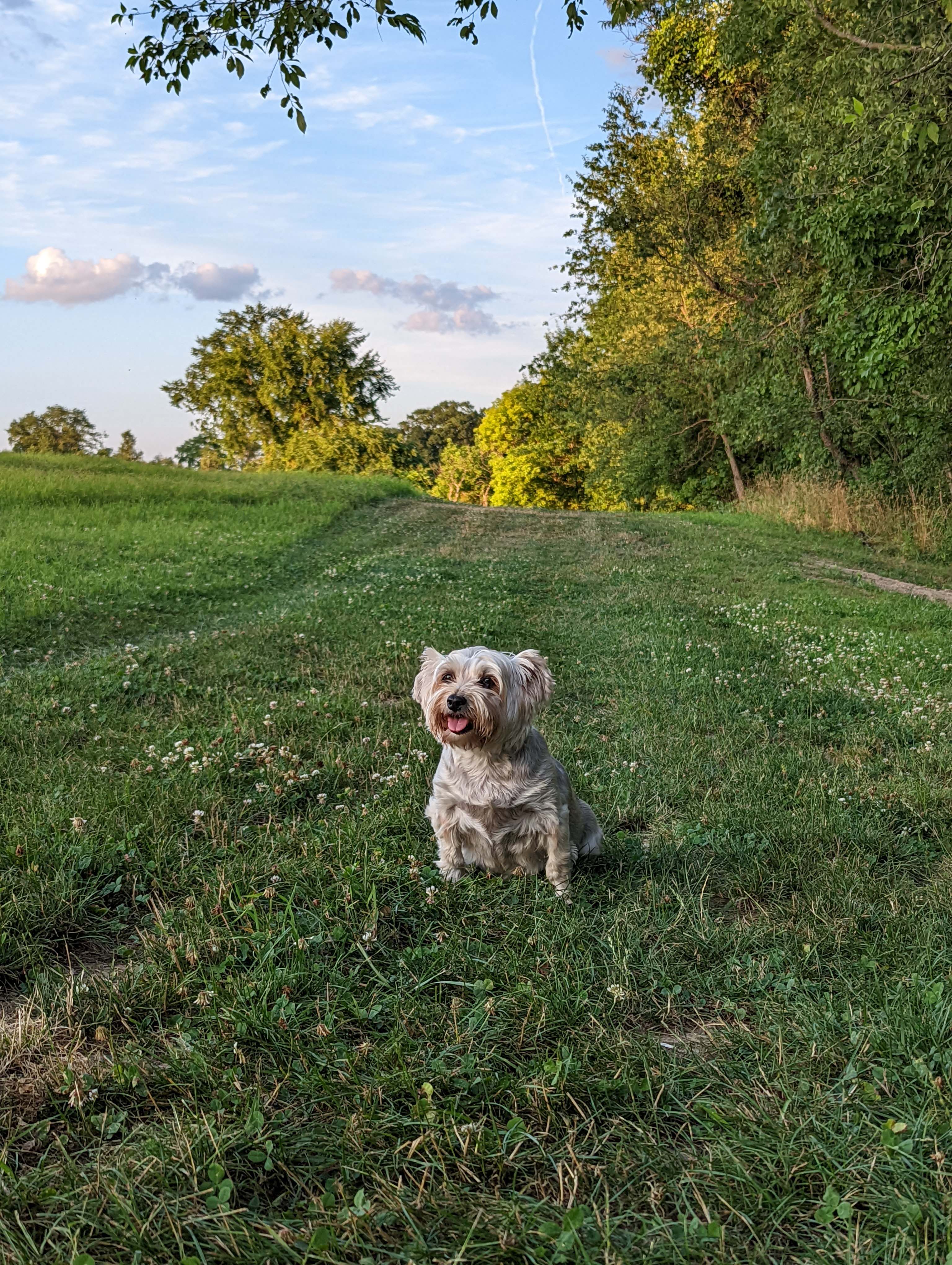 Wallkill River Camping