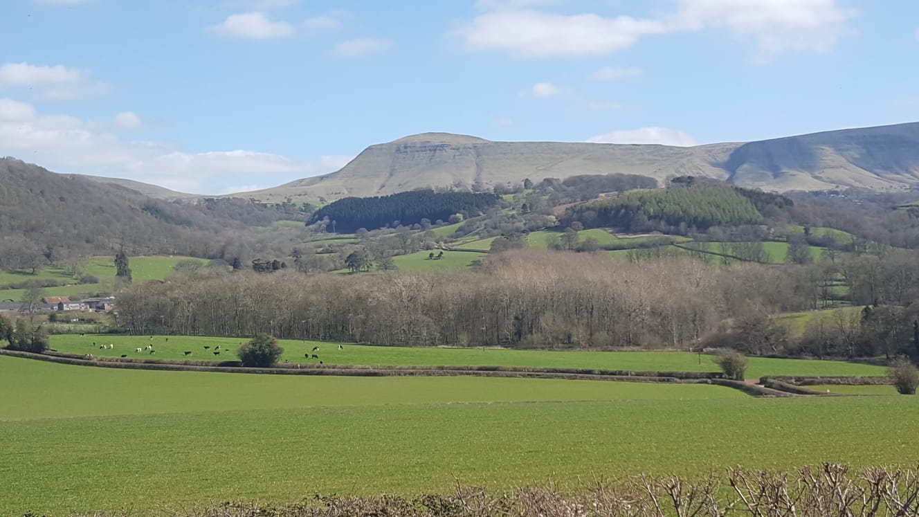 Pentwyn Dingle and Lodge Field Camp
