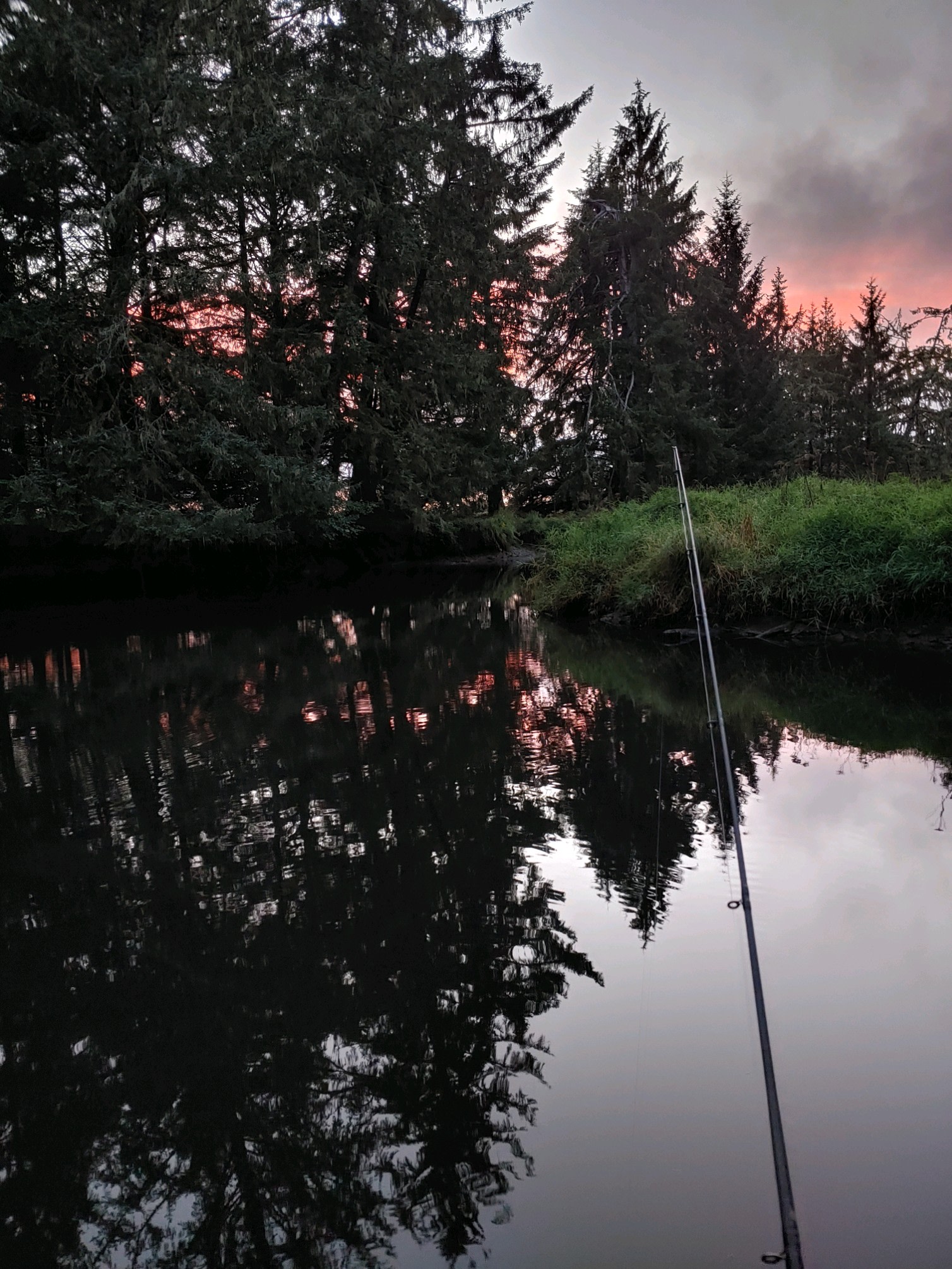 Williams Park campground