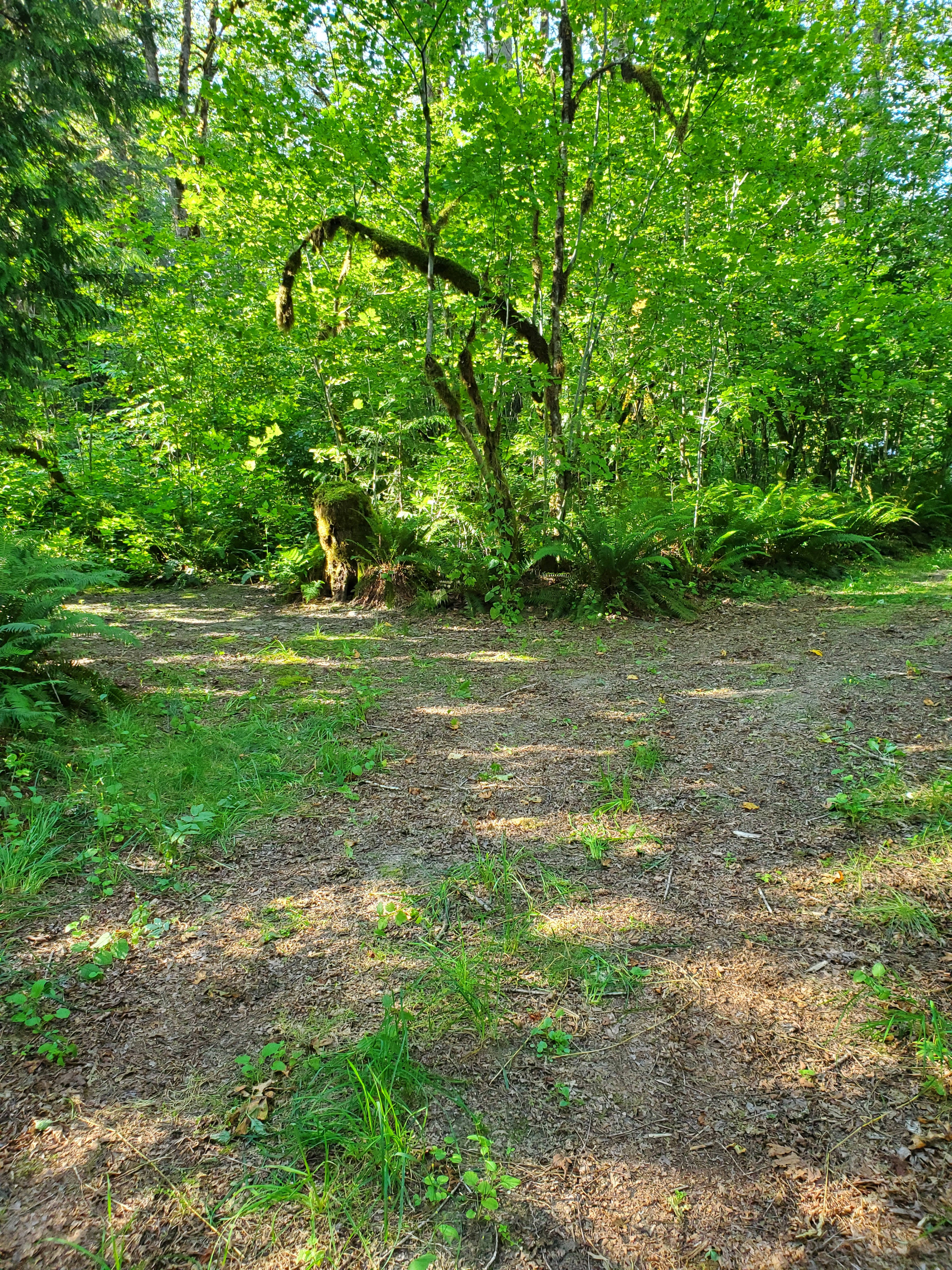 Parking for vehicles 