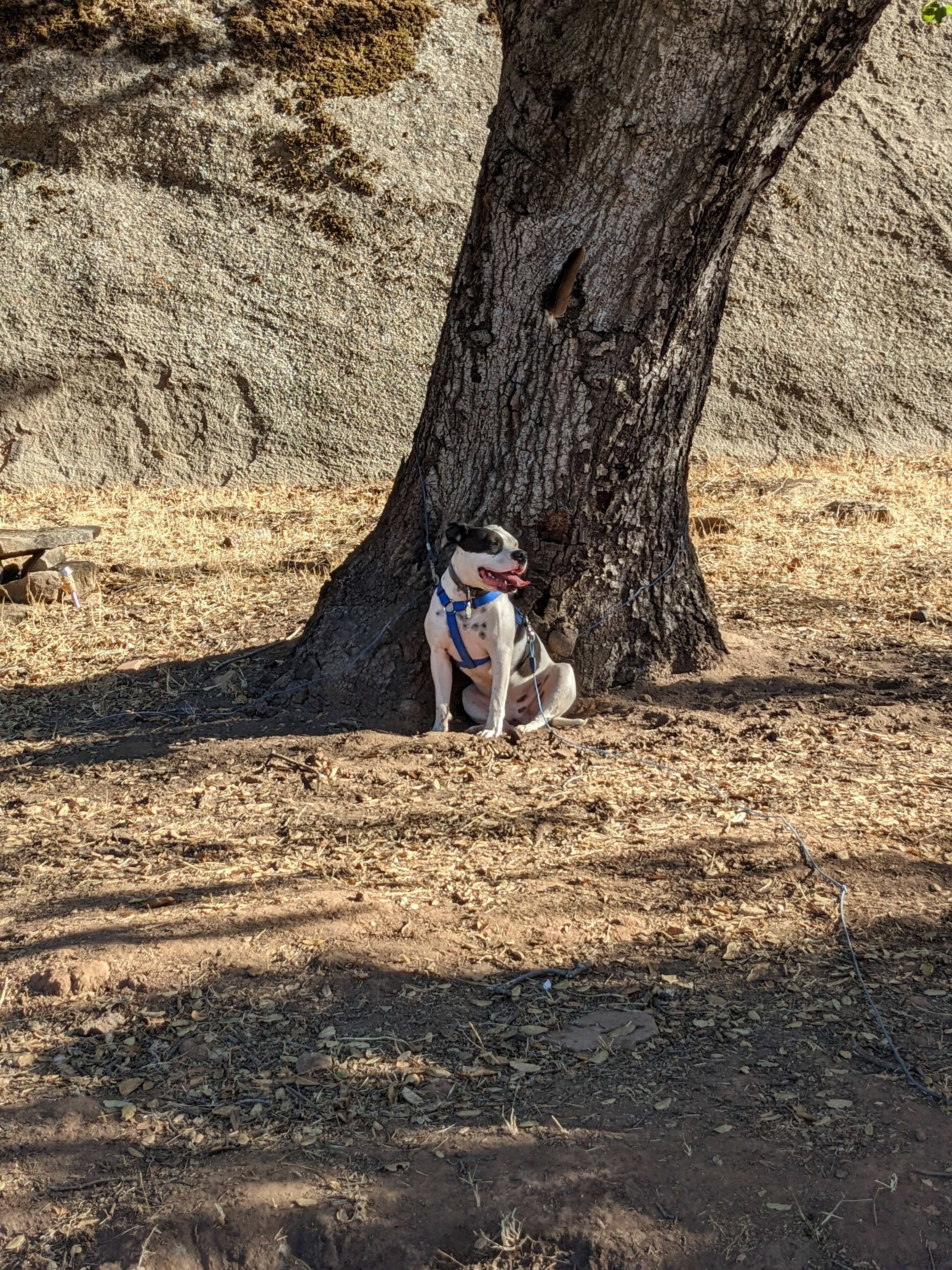 Rancho Los Encinos in Ojai CA