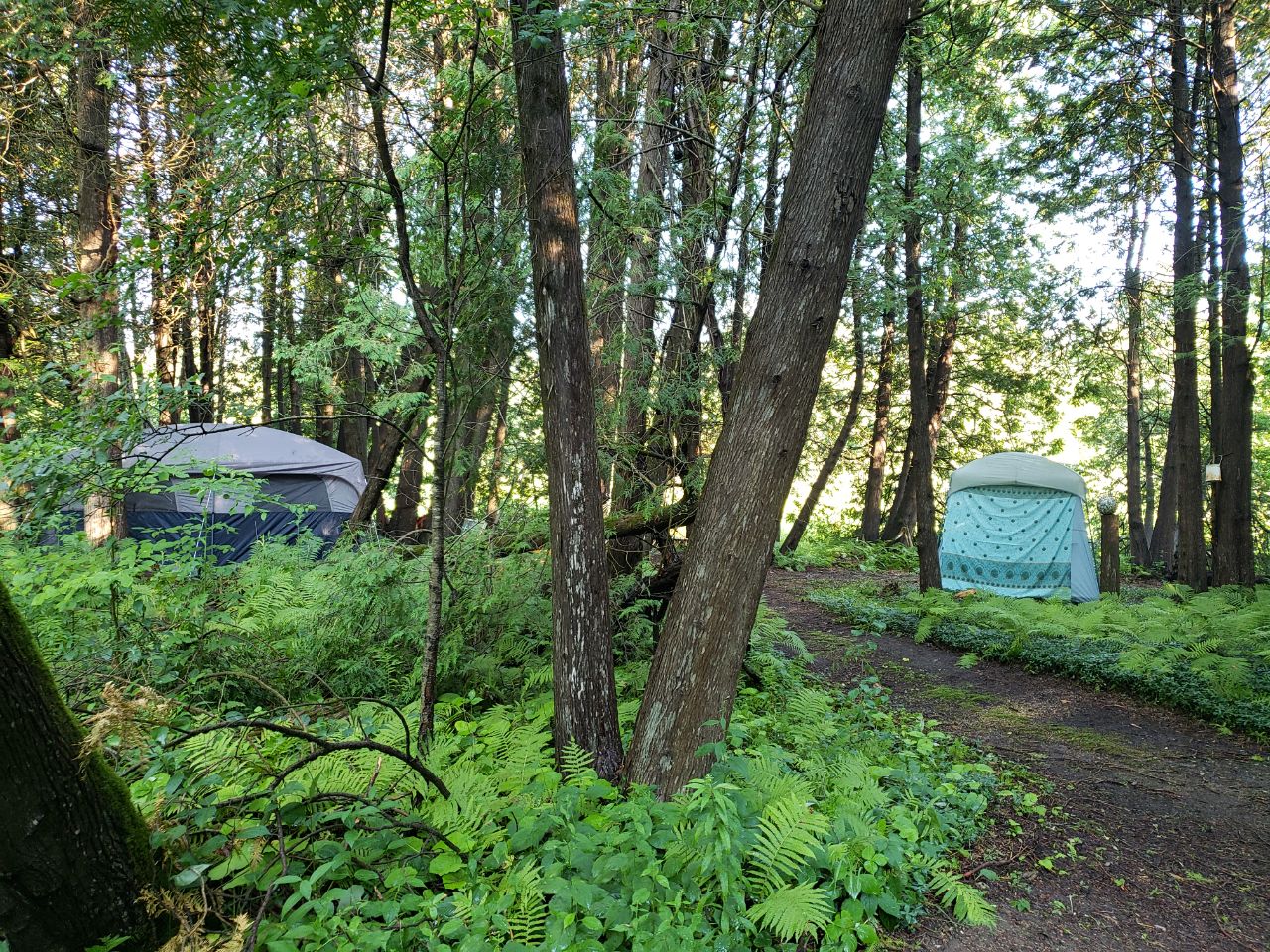 Dashta Retreat - CLOSED