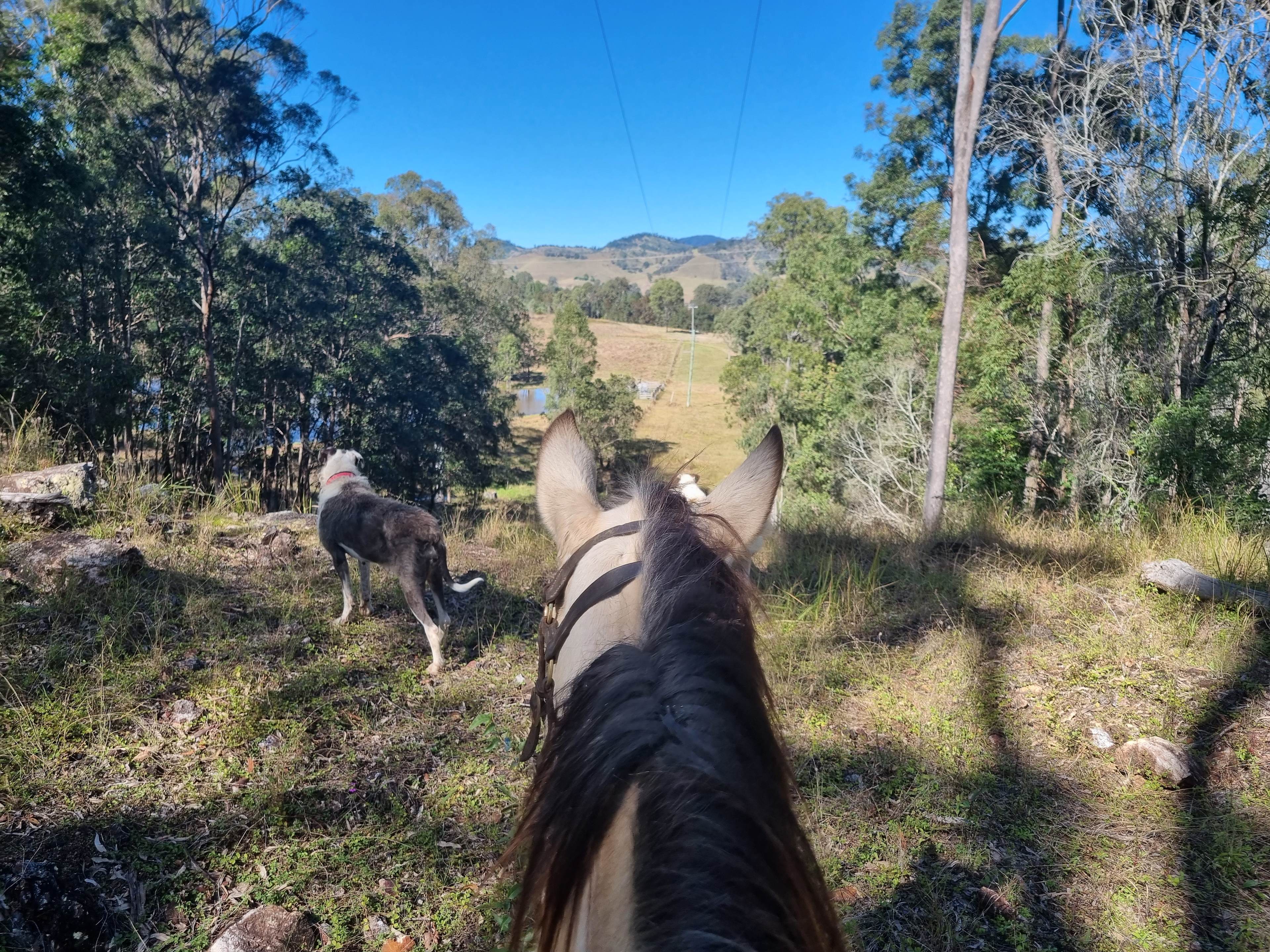 One of the Views from the farm