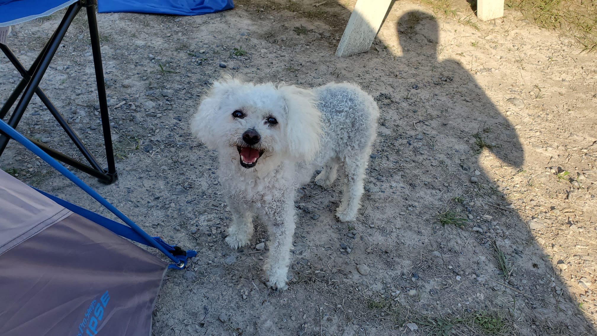 Lake Erie Private Beach Camping