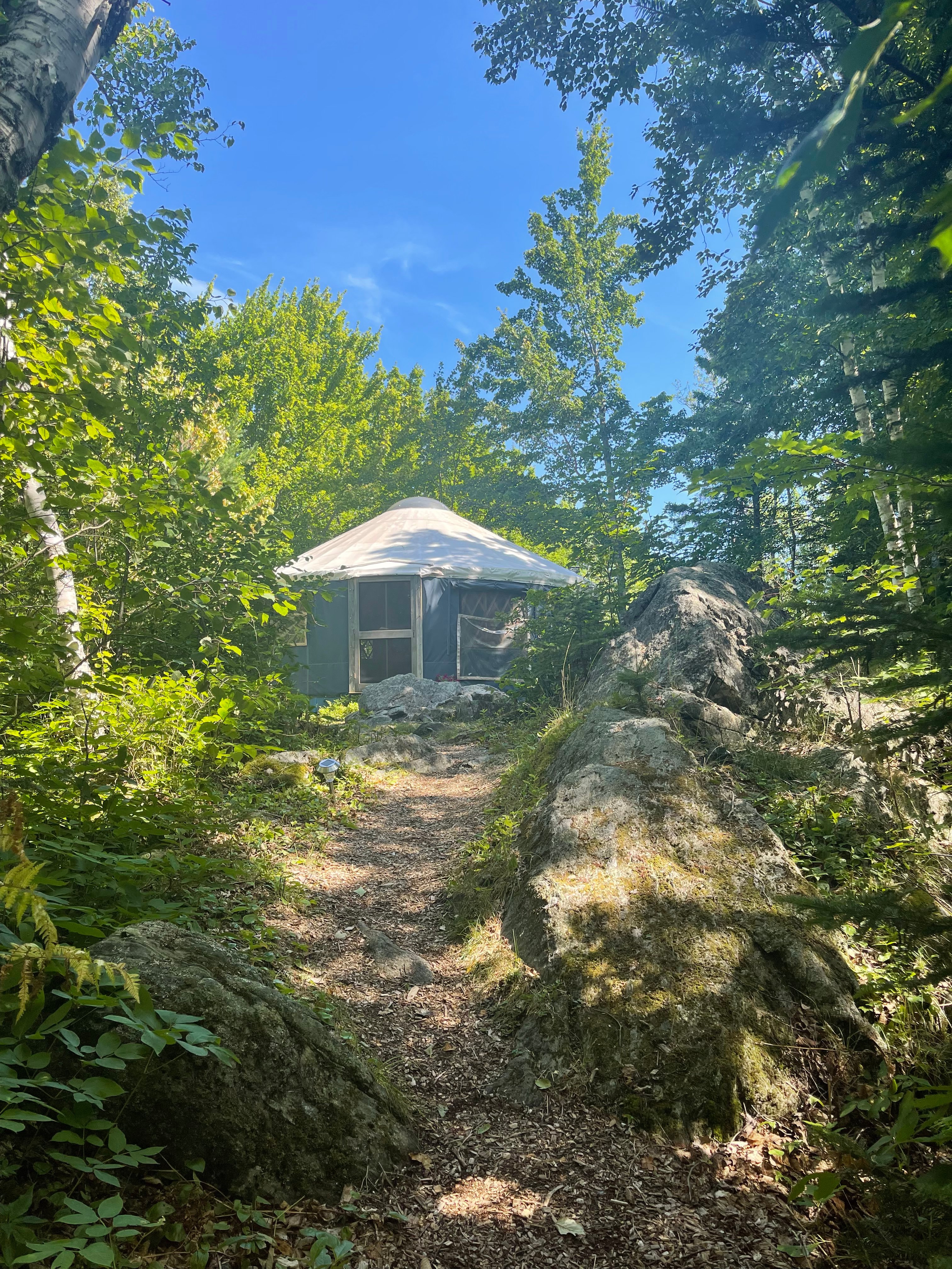 Blueberry yurt on the hill :)