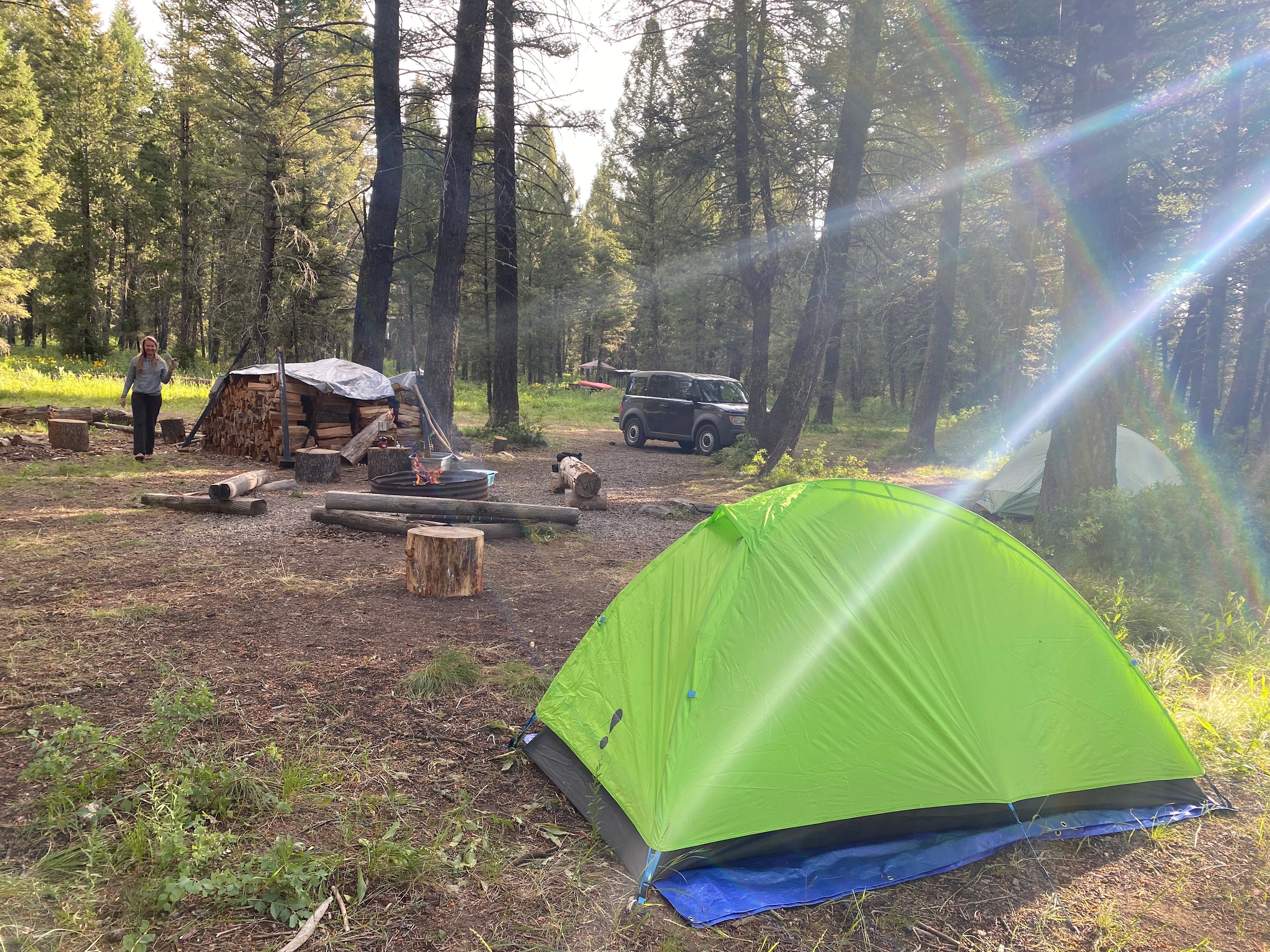 Peaceful Pines