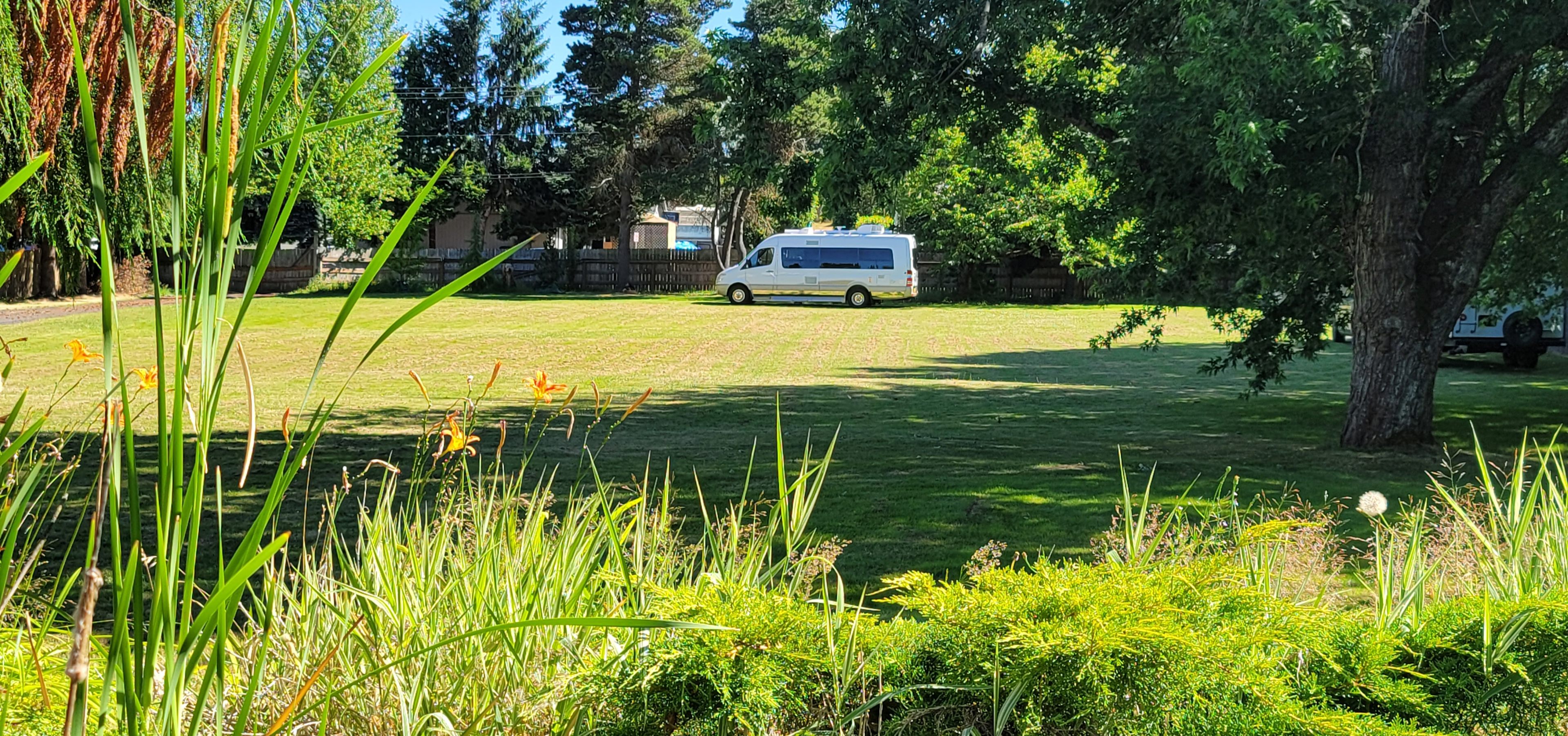 Lots of cool green grass and  blissfully private.