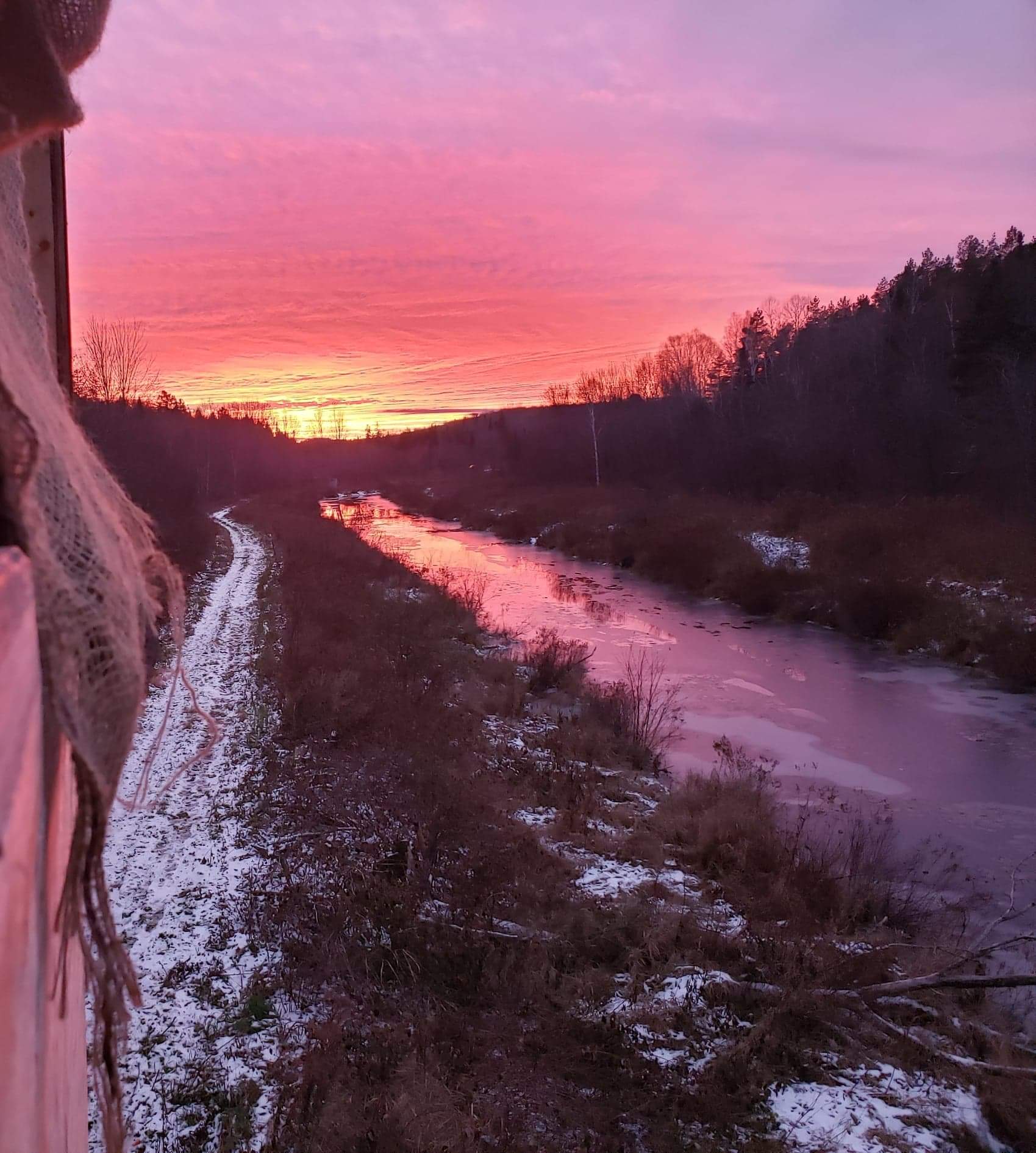 That Place on Limberlost