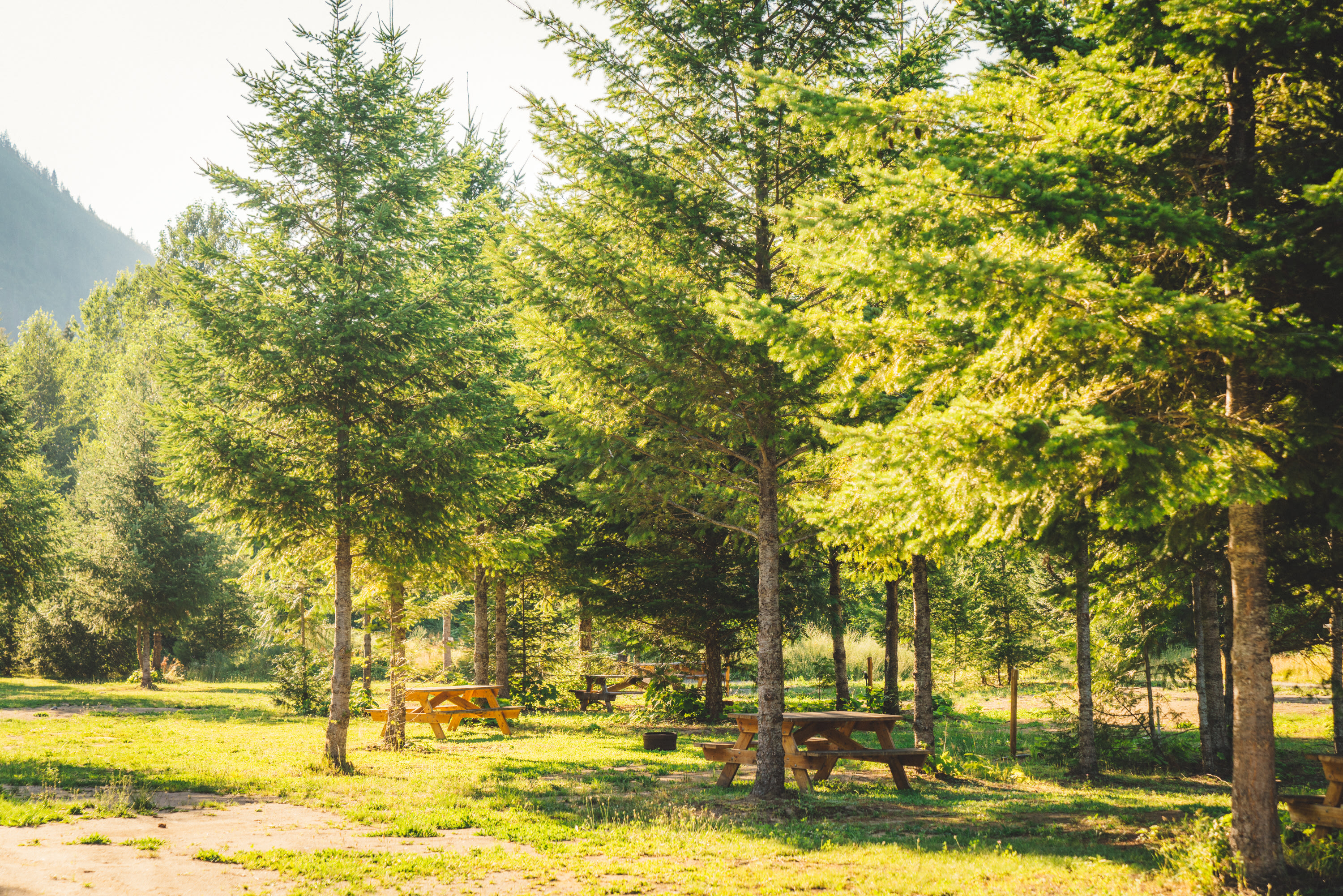 A campground overview.