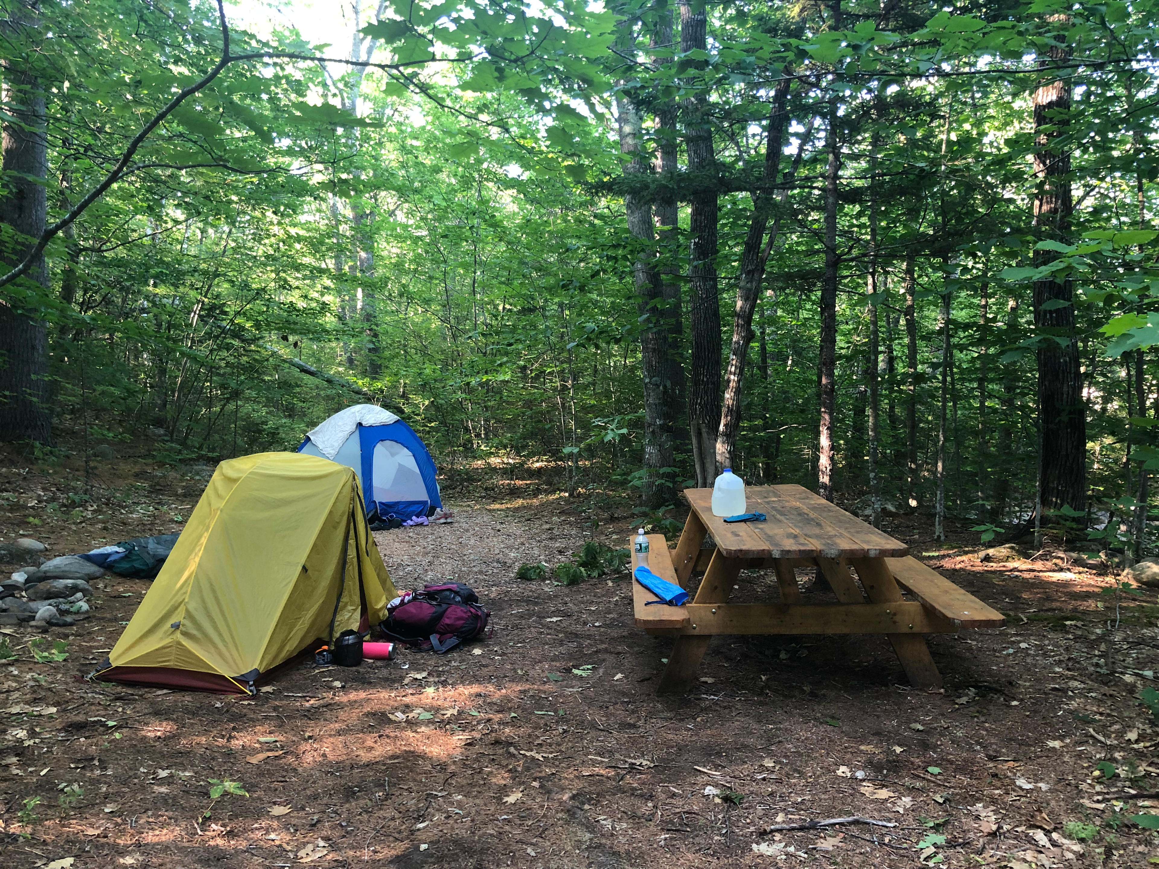 Riverside campsite 