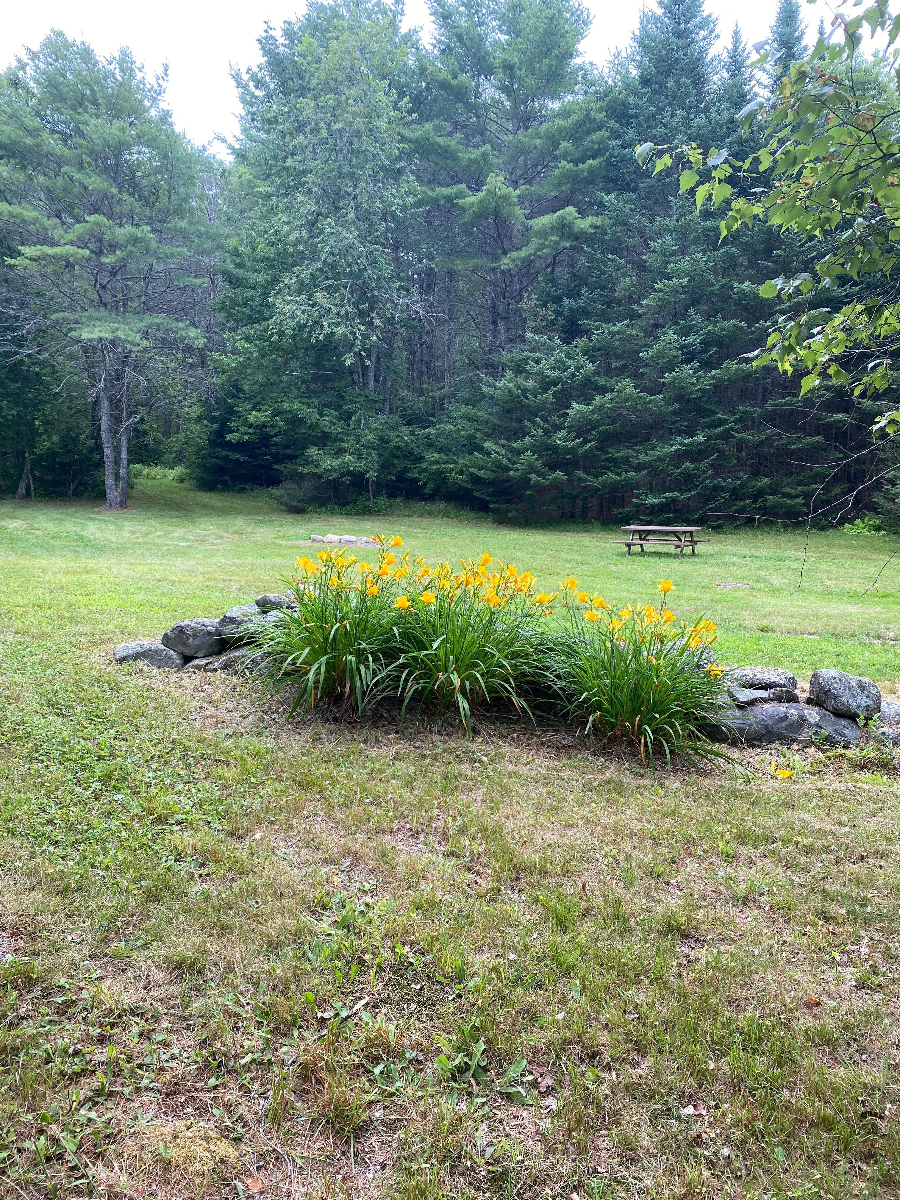 Porcupine Creek Rustic Camping