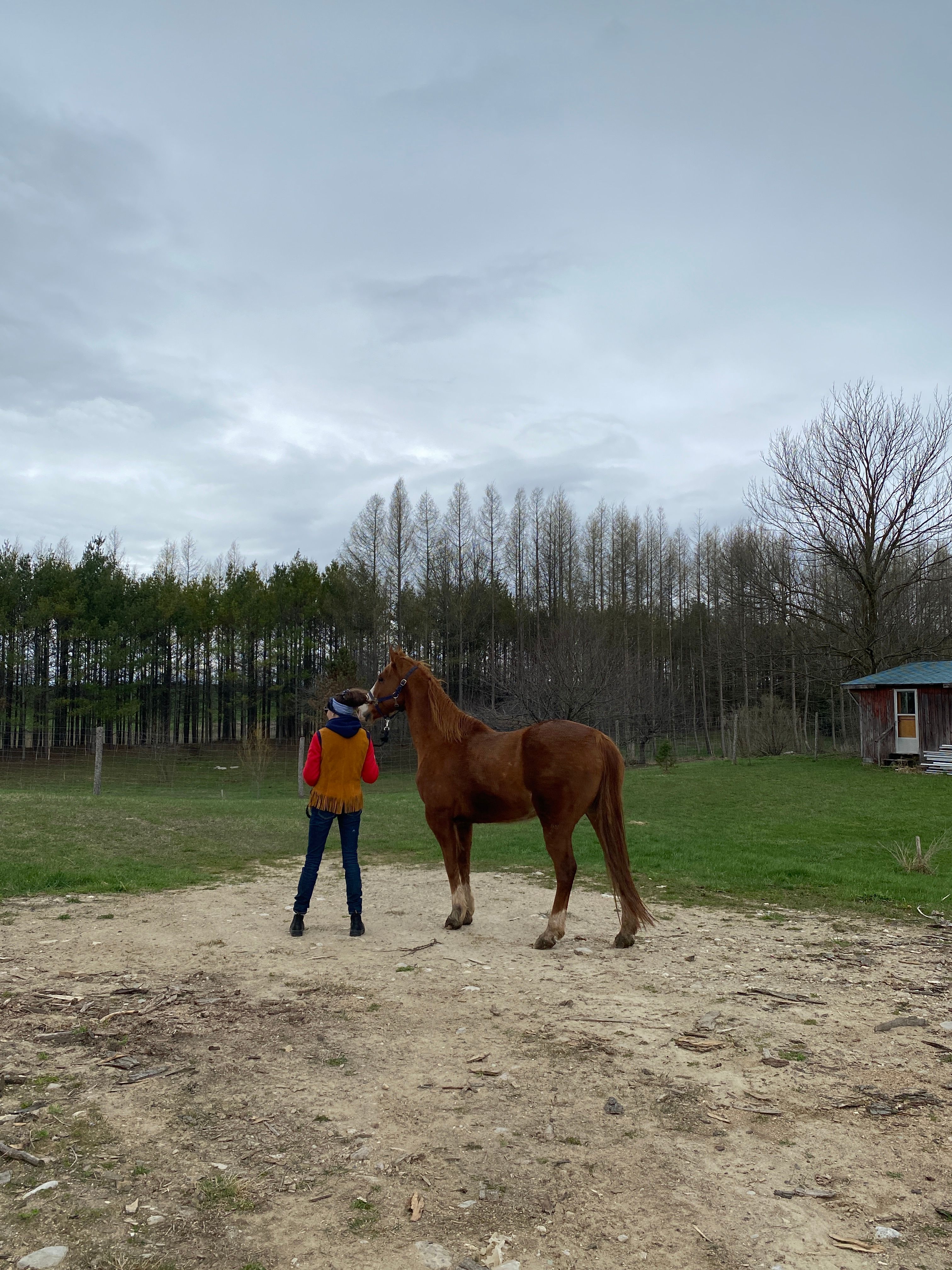 SUJO Funny Farm Cabin & Camping