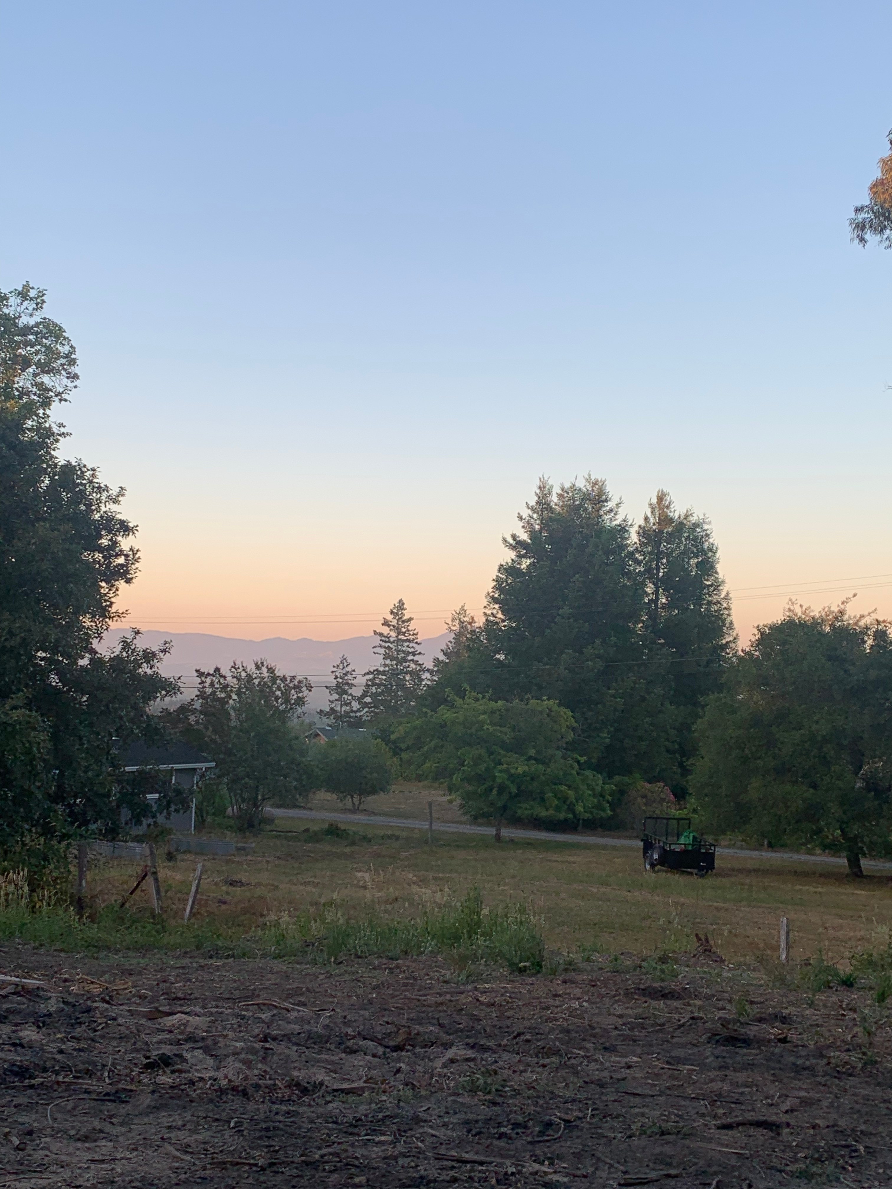 Sunset views 