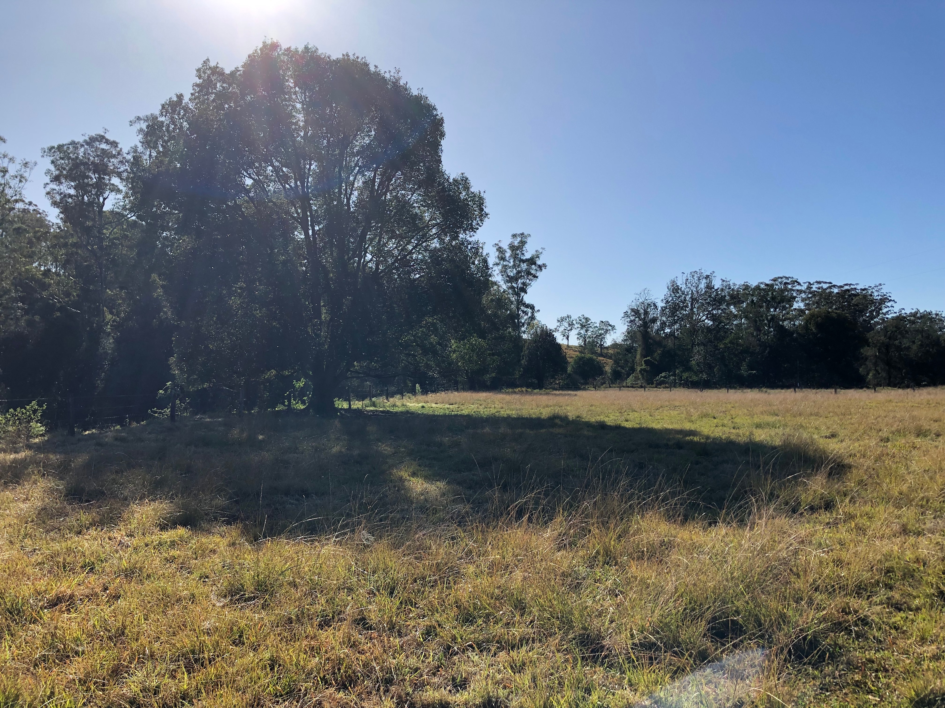 Good shade availability 