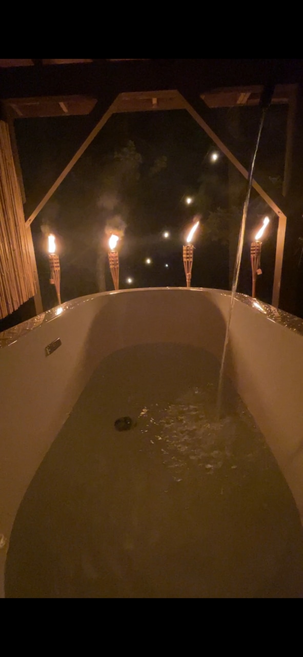 Cabin: Blue Moon Lake House NC 🏕️