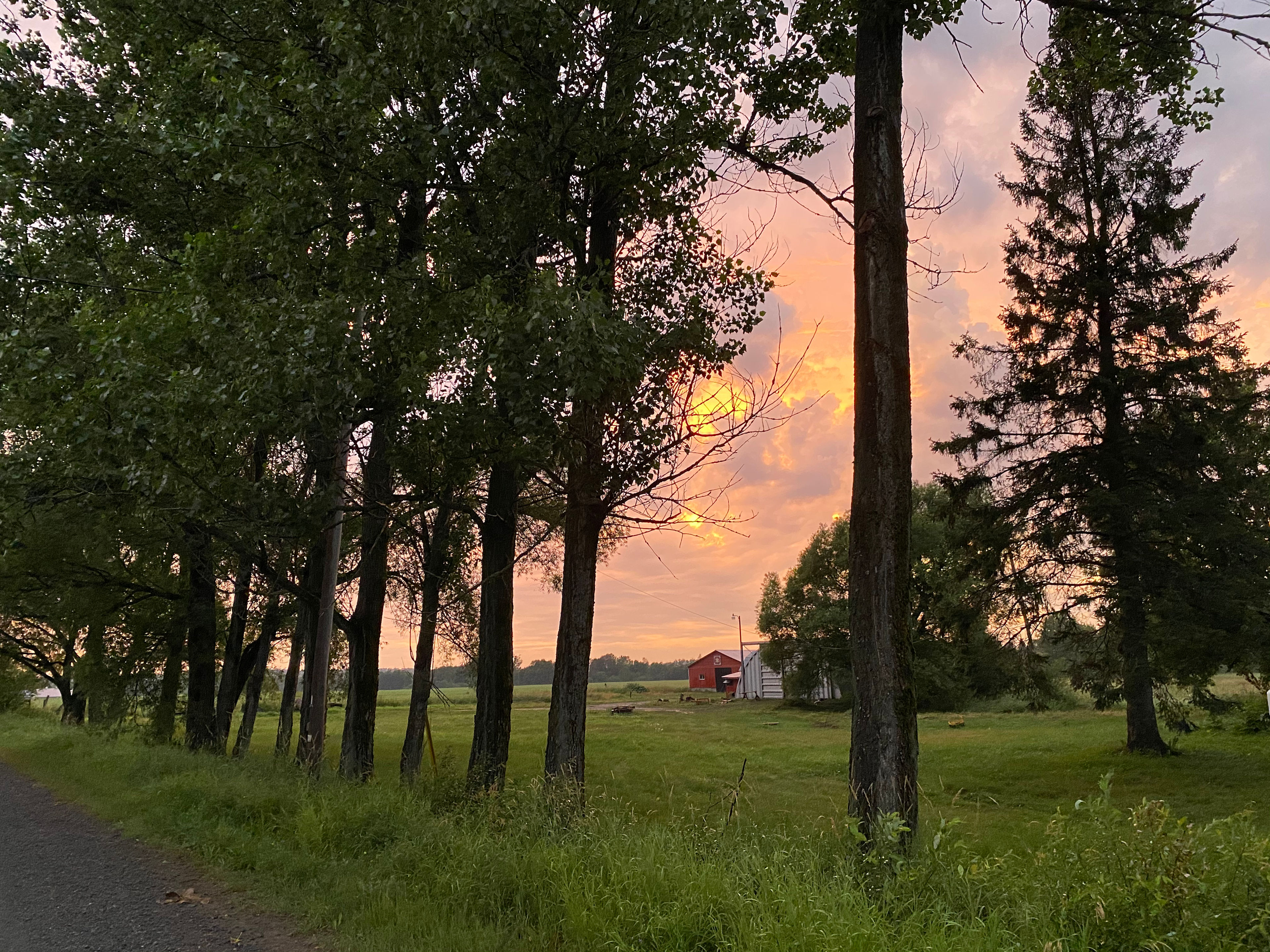 View of your spot from the road.