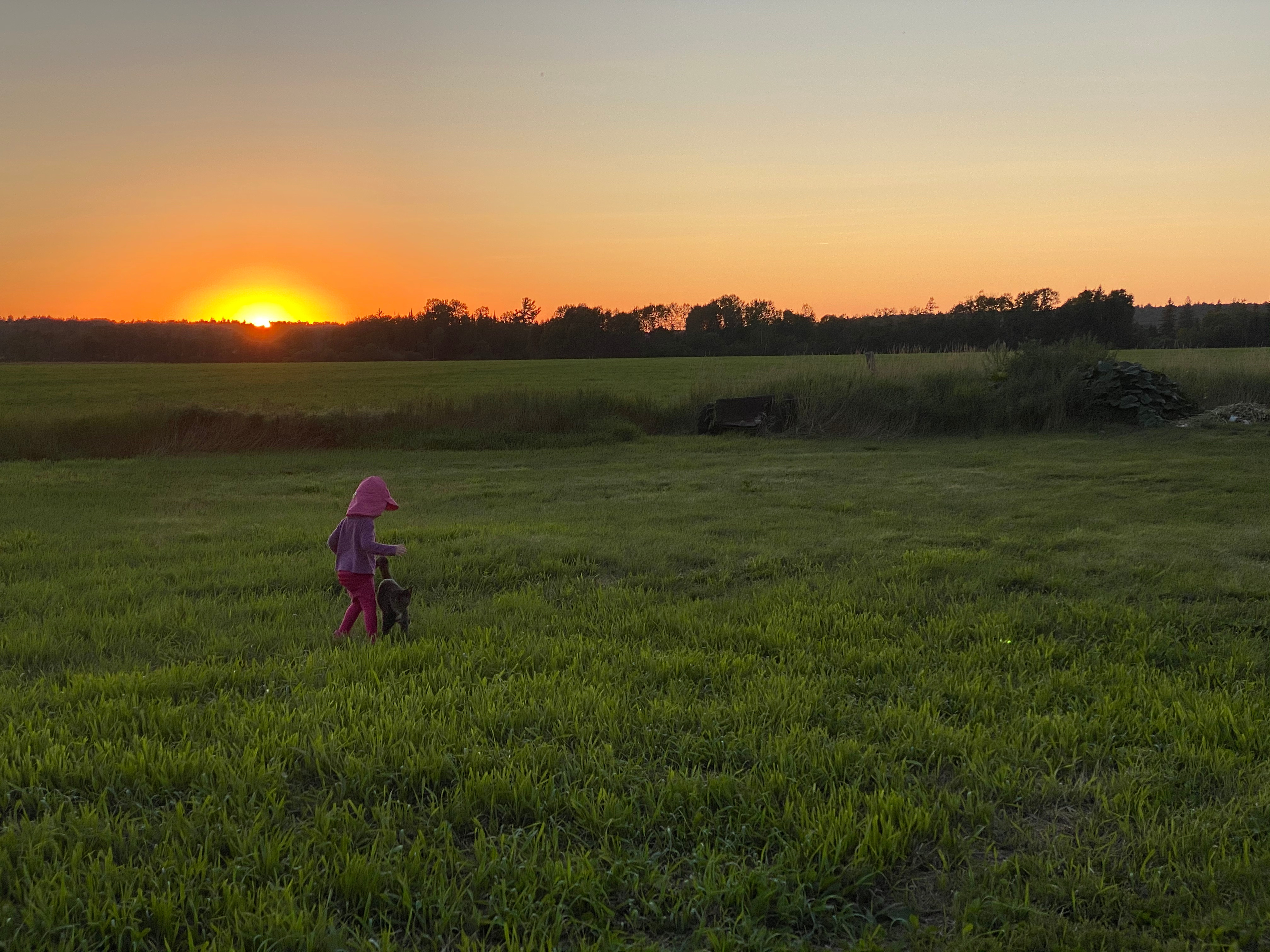 Stunning sunsets and all-natural views.