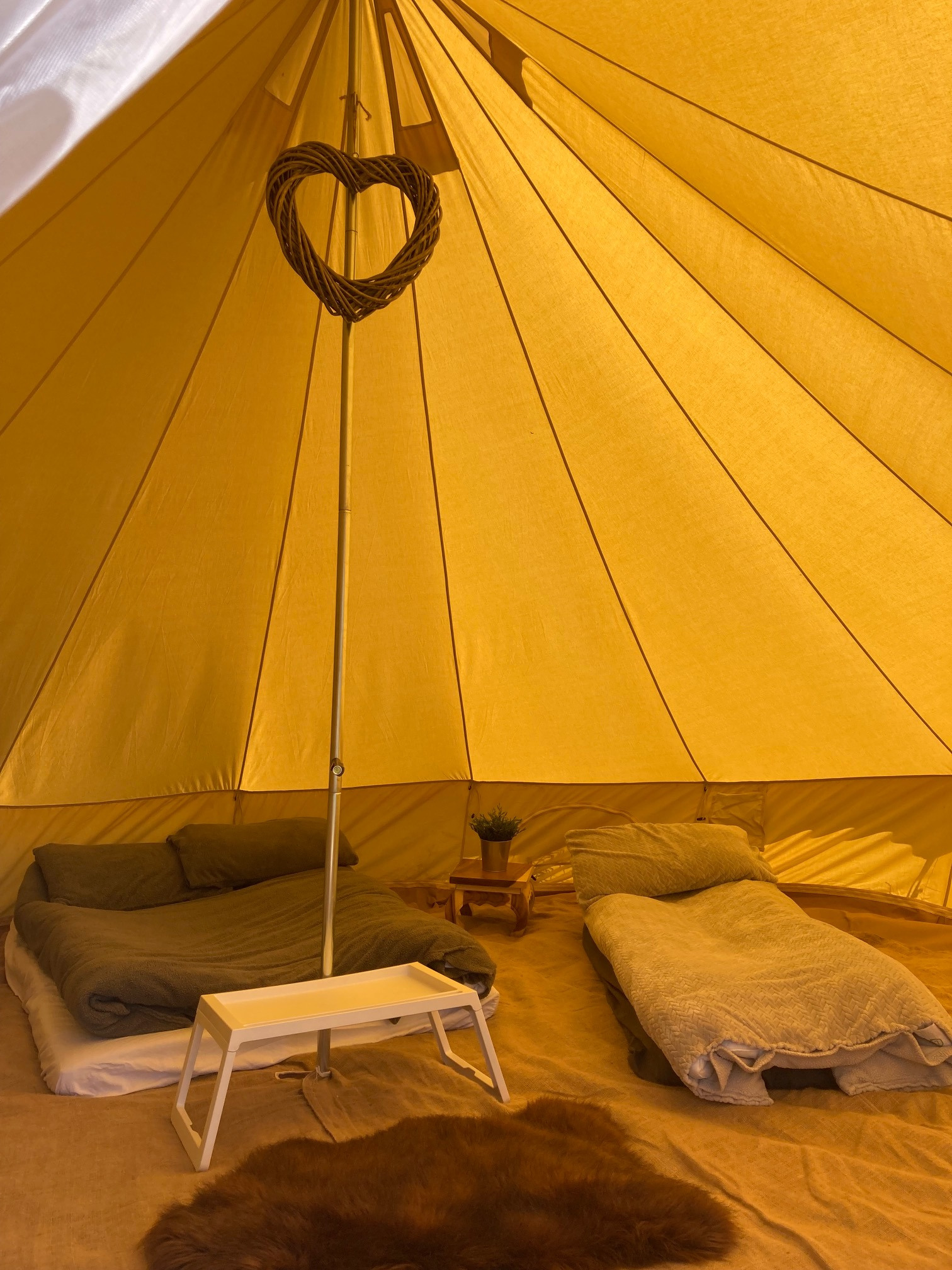 Beau and Bell at South Farm