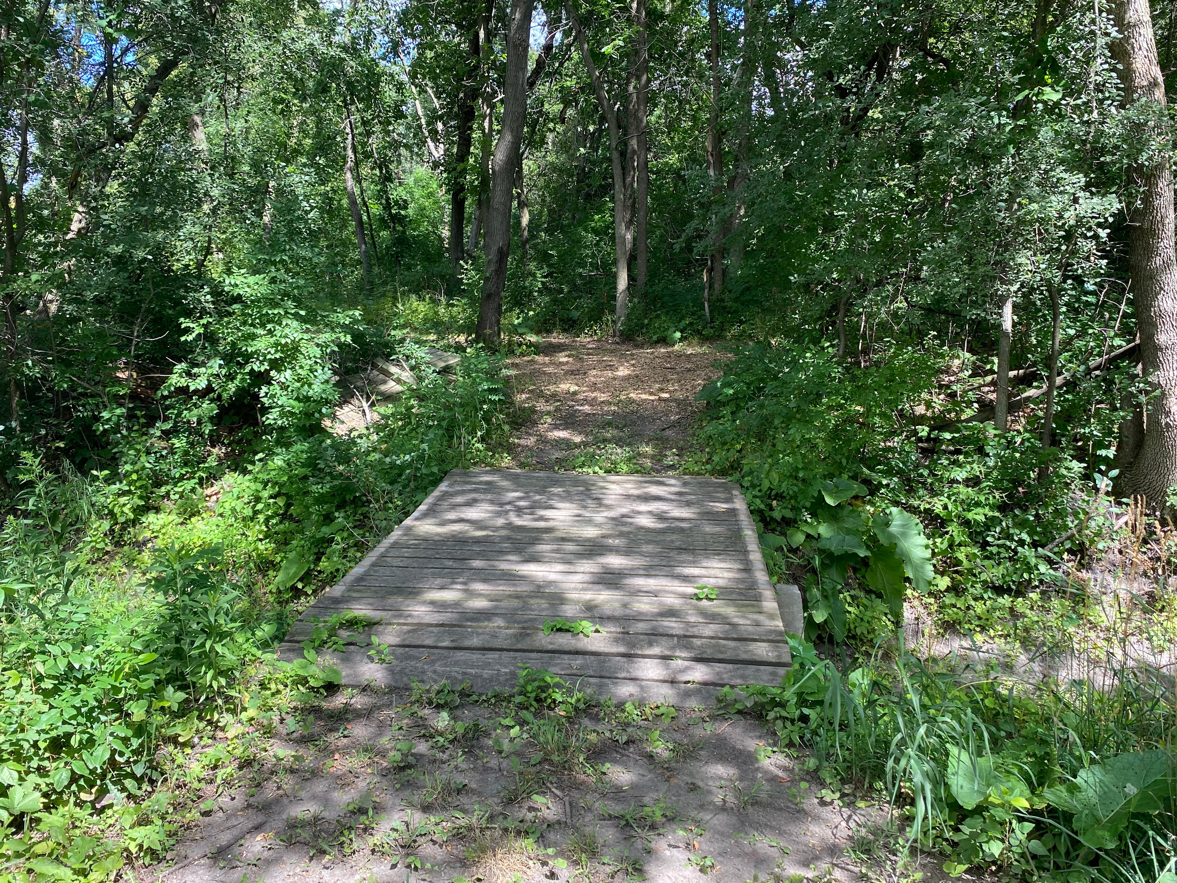 Peaceful & Secluded Sanctuary
