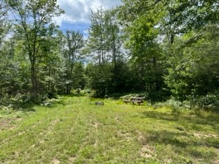 Open space for site with picnic table and fire ring