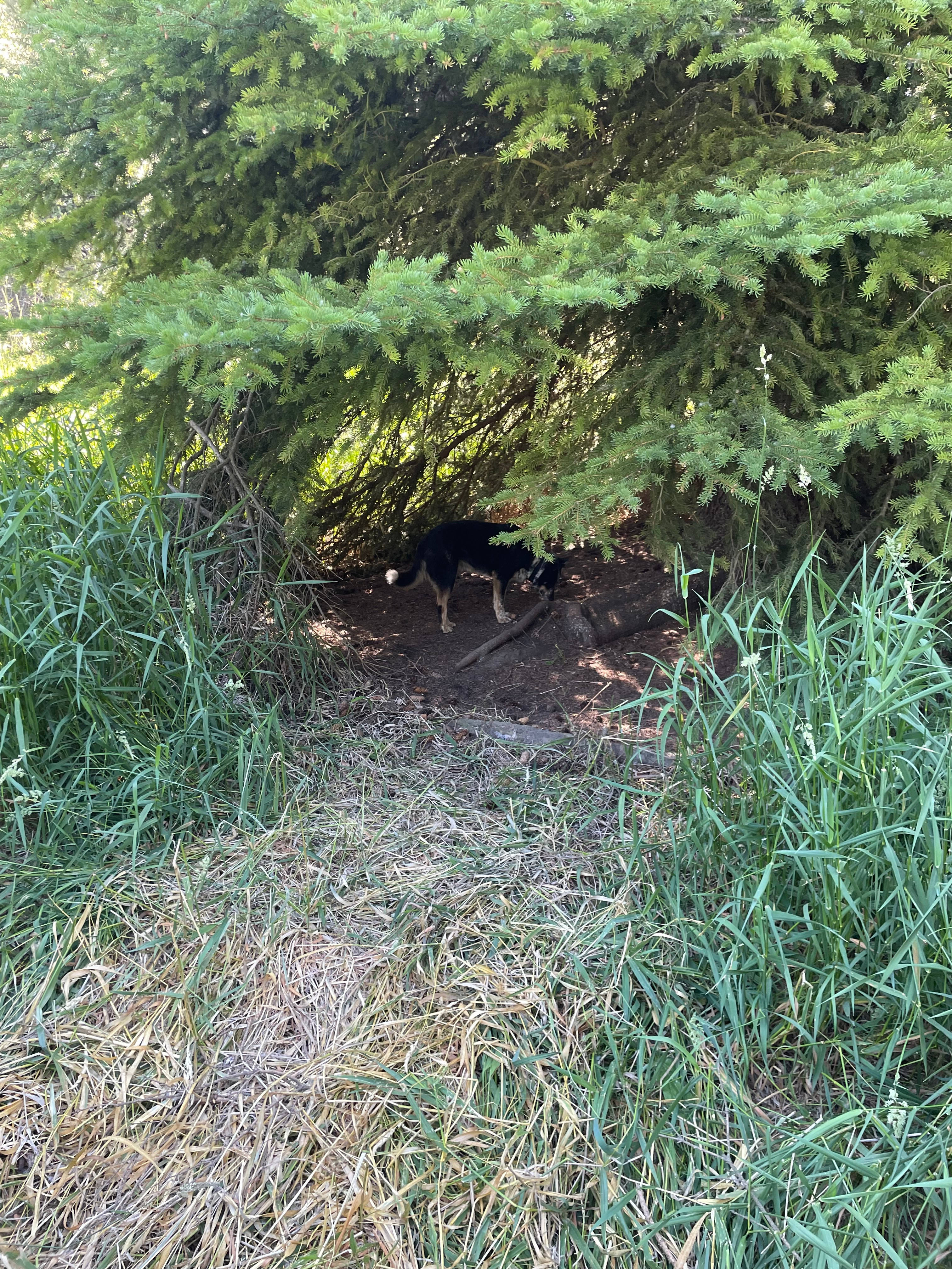 Glamp at the Evans Farm