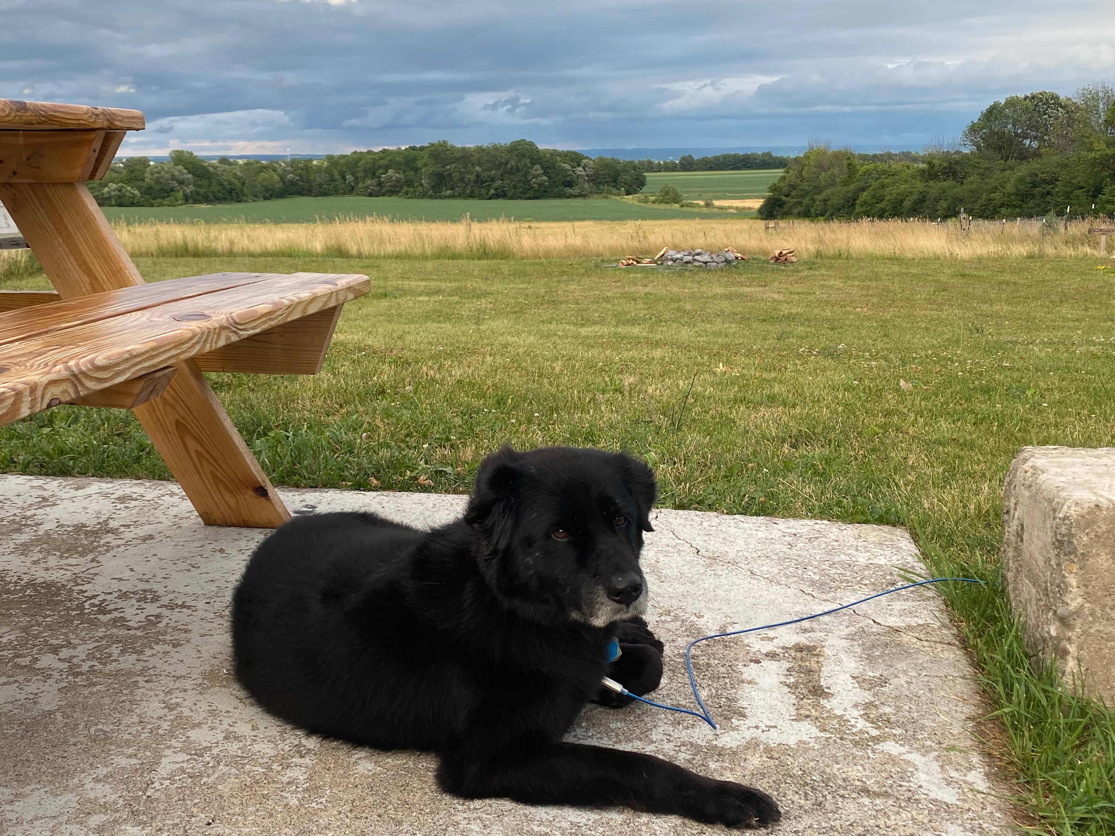 Yost Ridge in the Finger Lakes