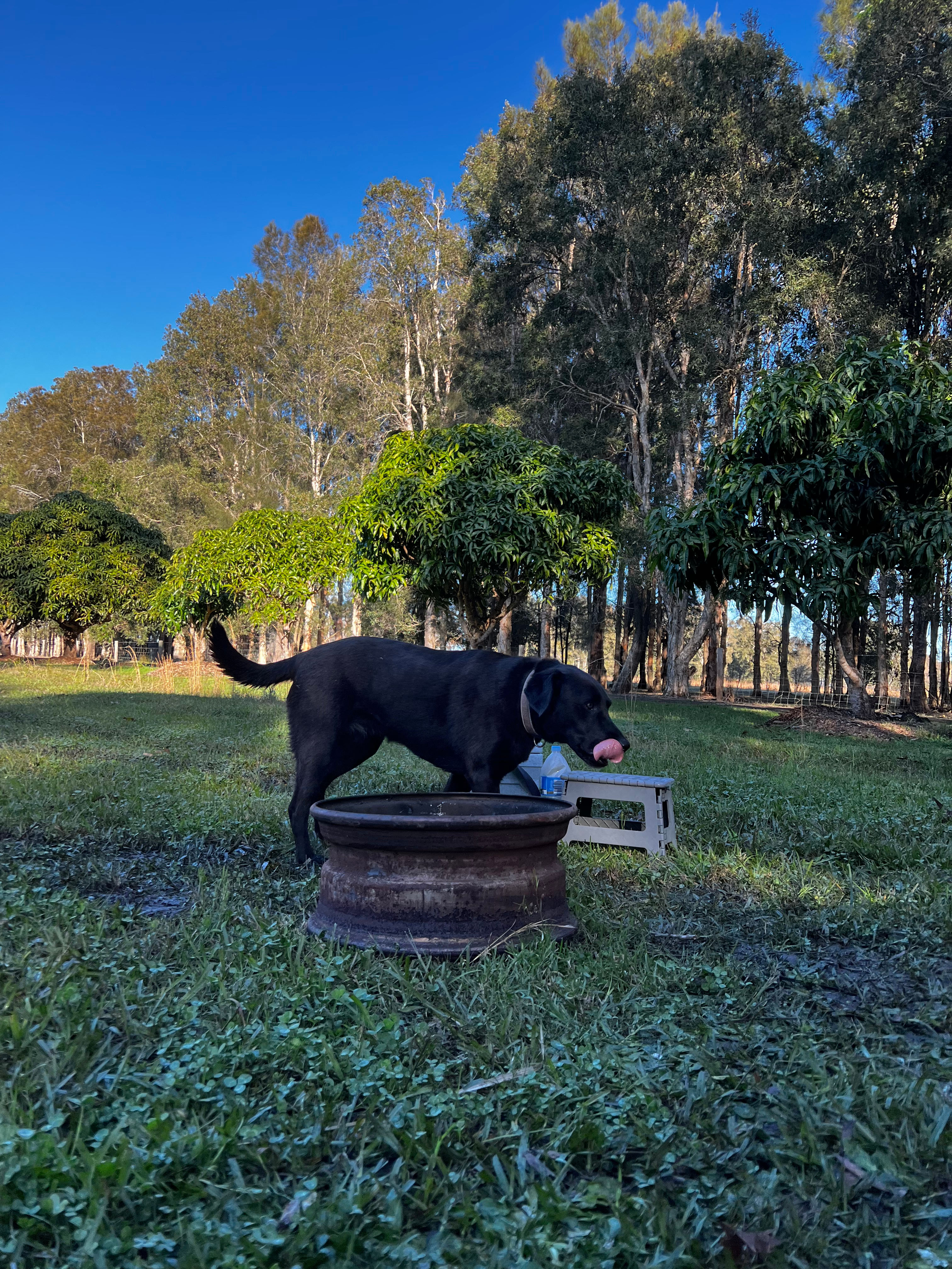 Davrae Park Freecamping sites (no toilet/shower)