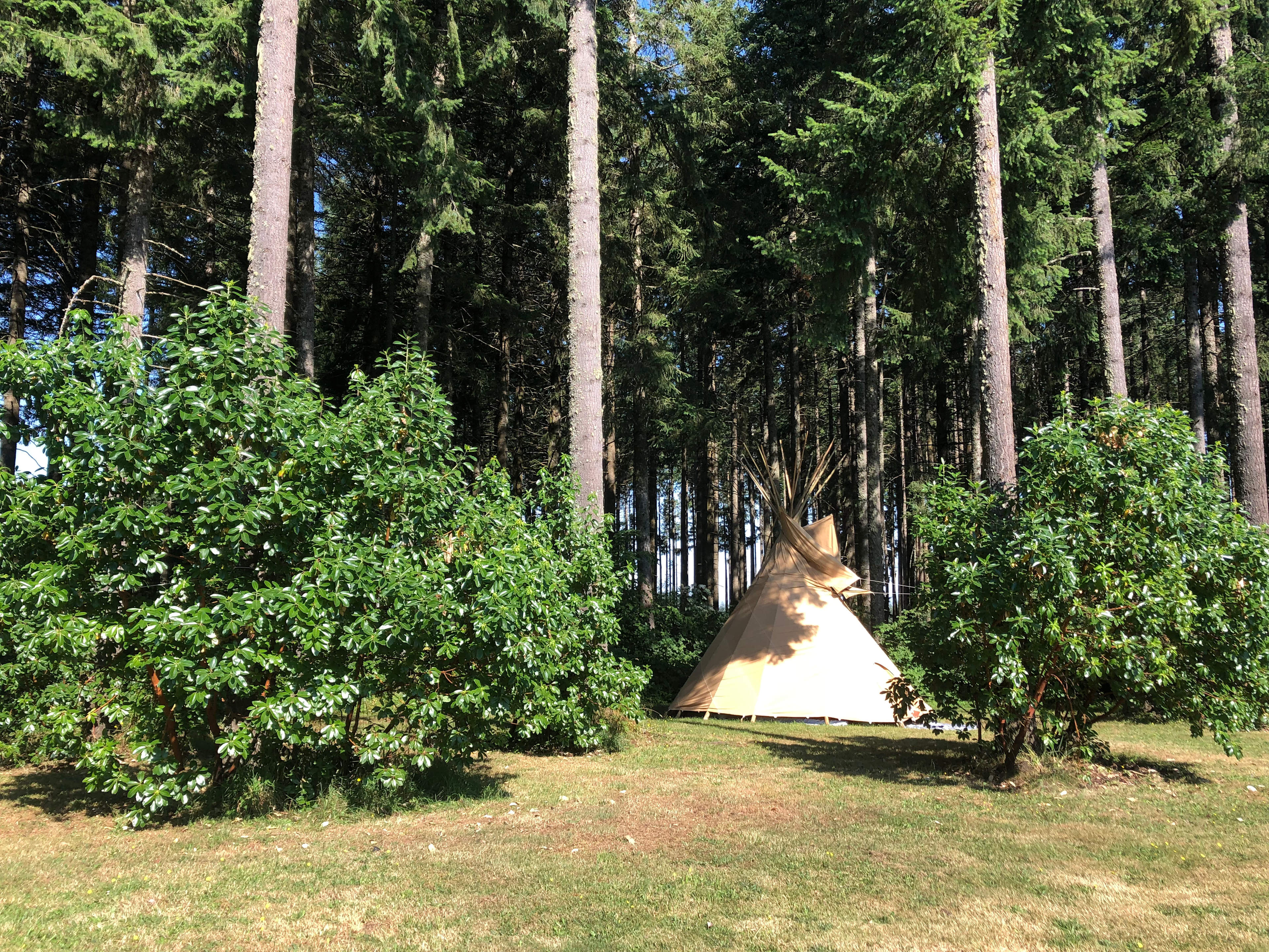 Silver Moon Herb Farm