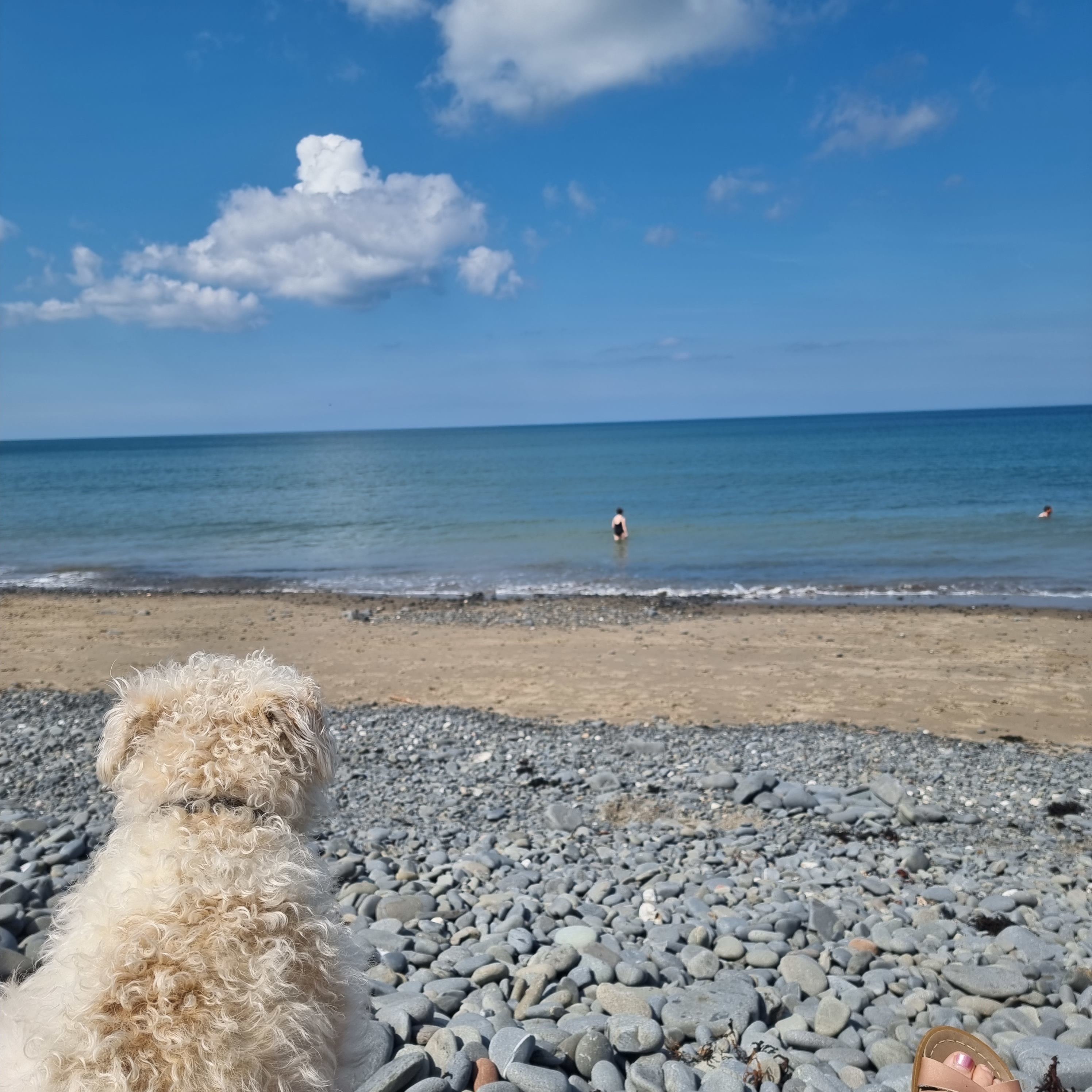 Local beach, lovely for a dip. 