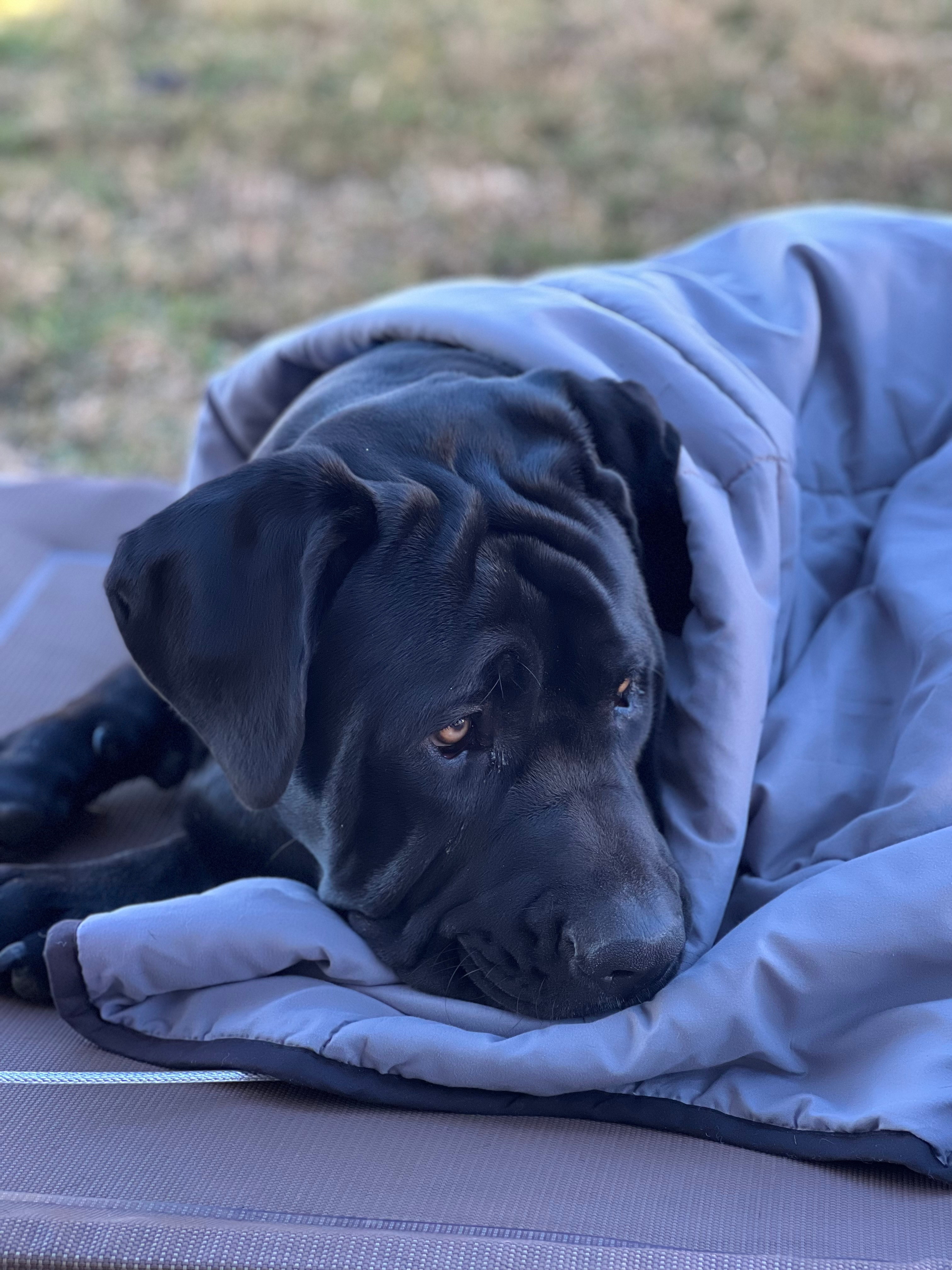 Hopetoun Hills Toowoomba