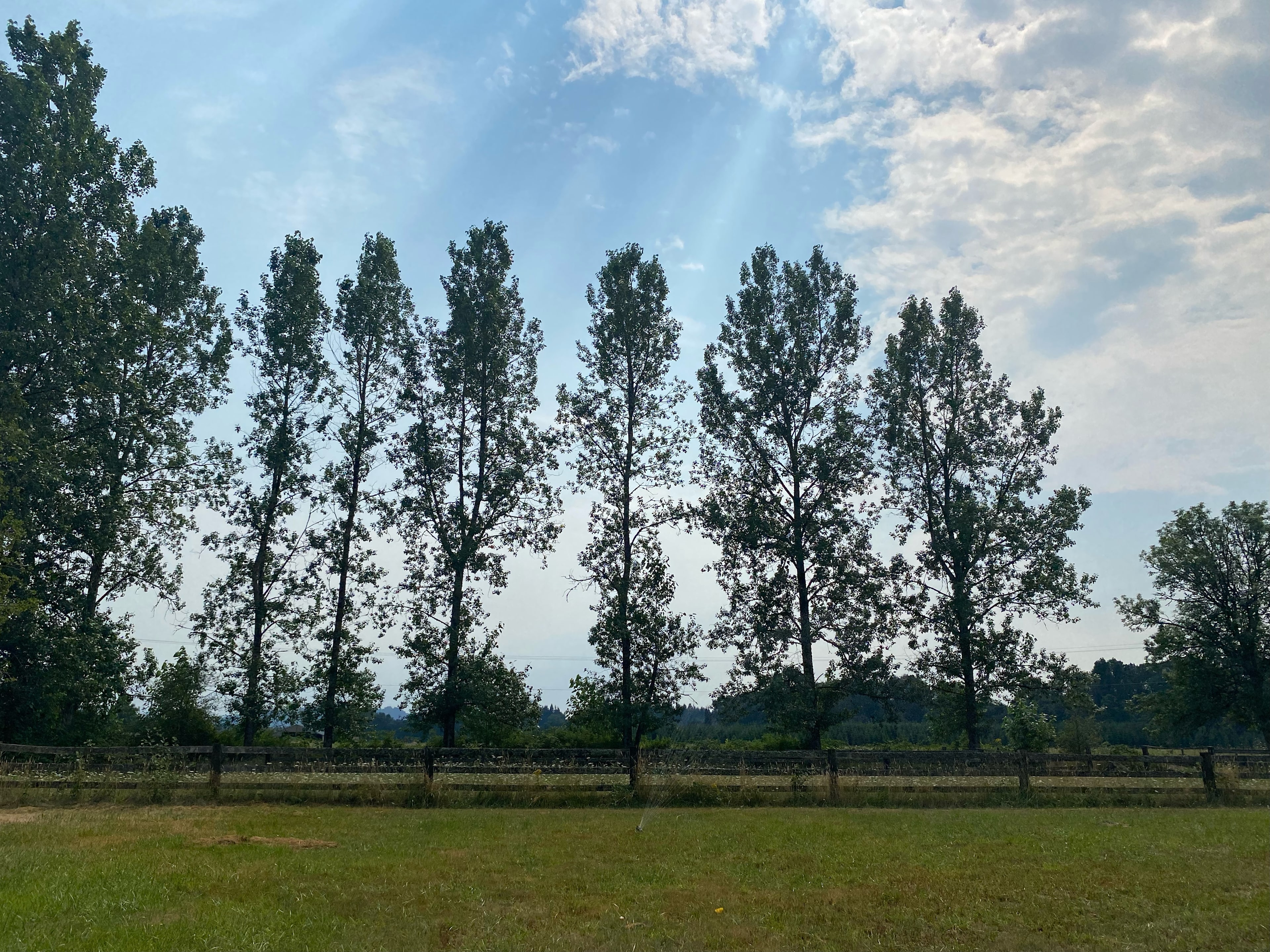 The view from the entrance 