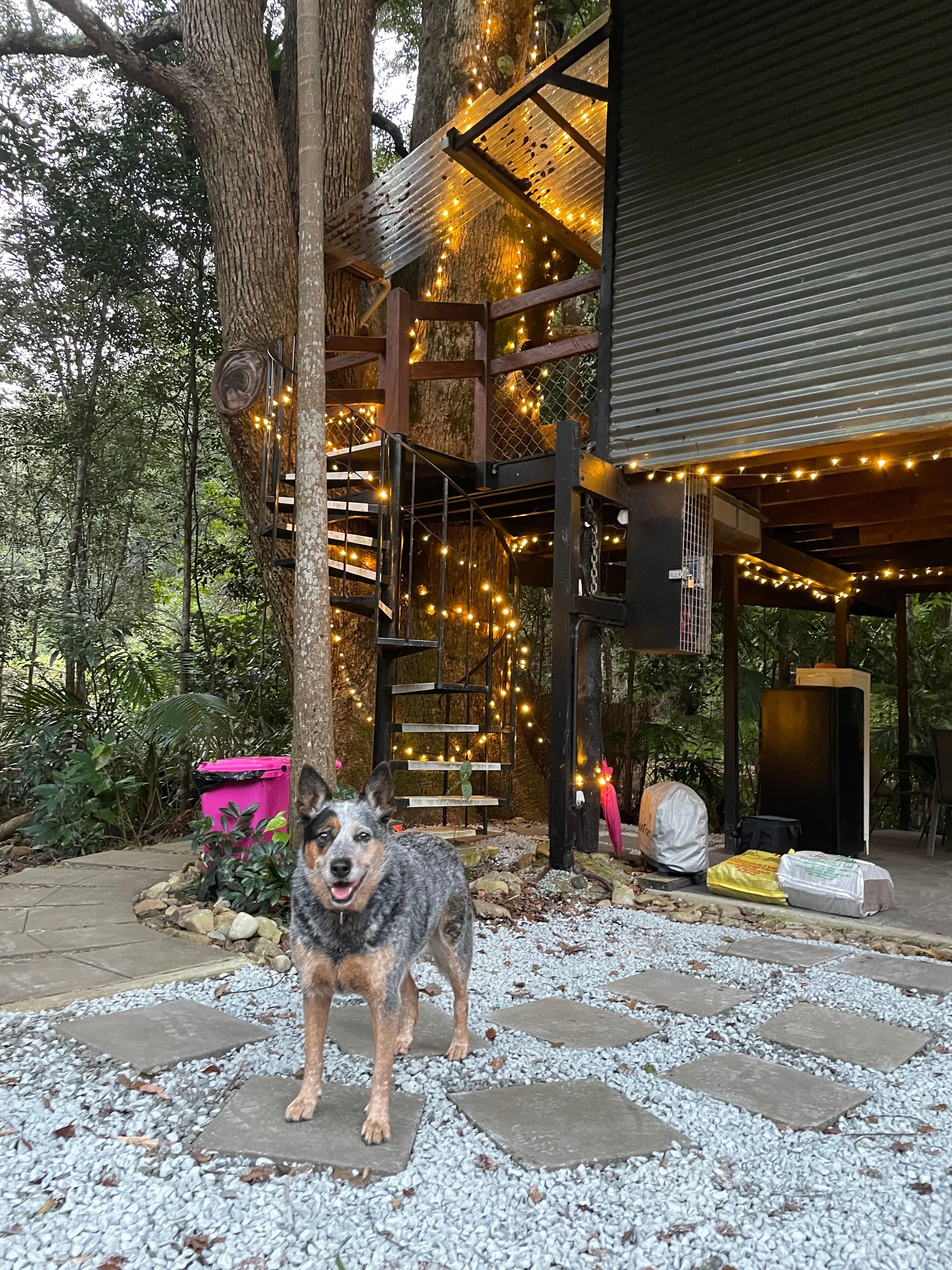Crystal Creek Rainforest Treehouse