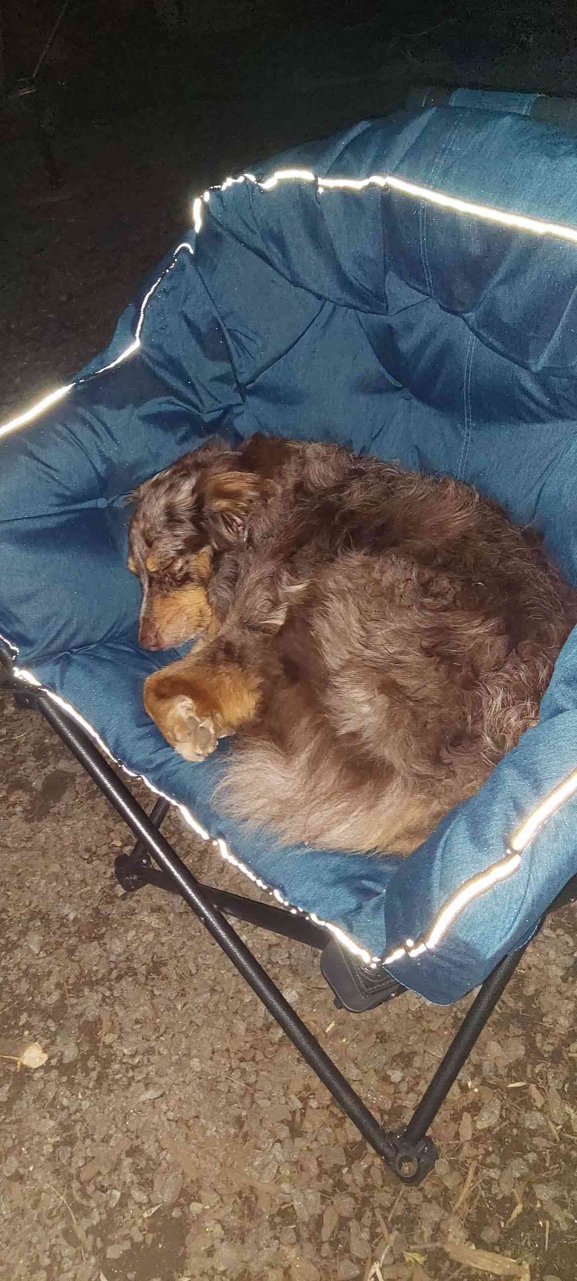 OG - Coe Island Lake Campground