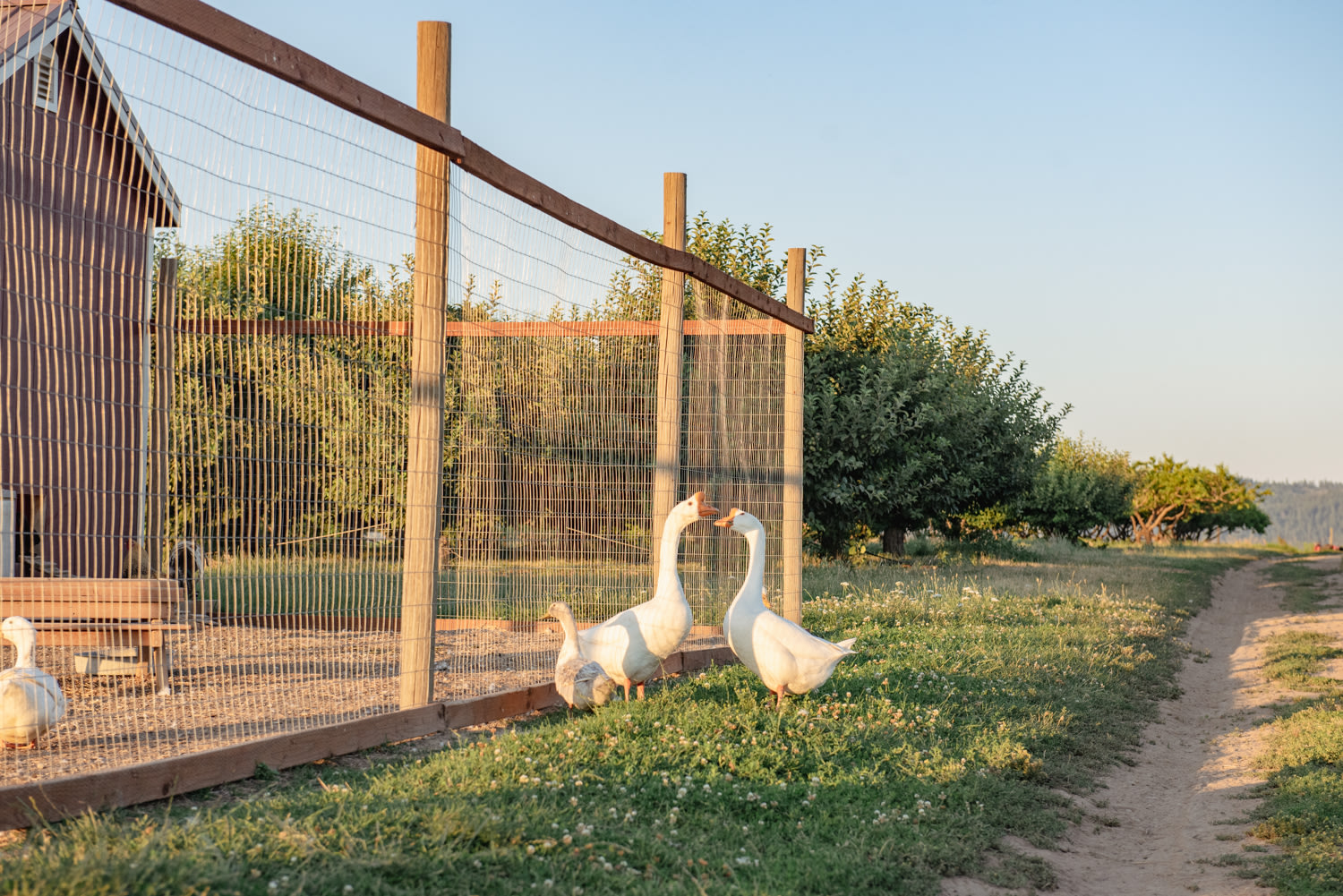 Hidden Acres Orchards