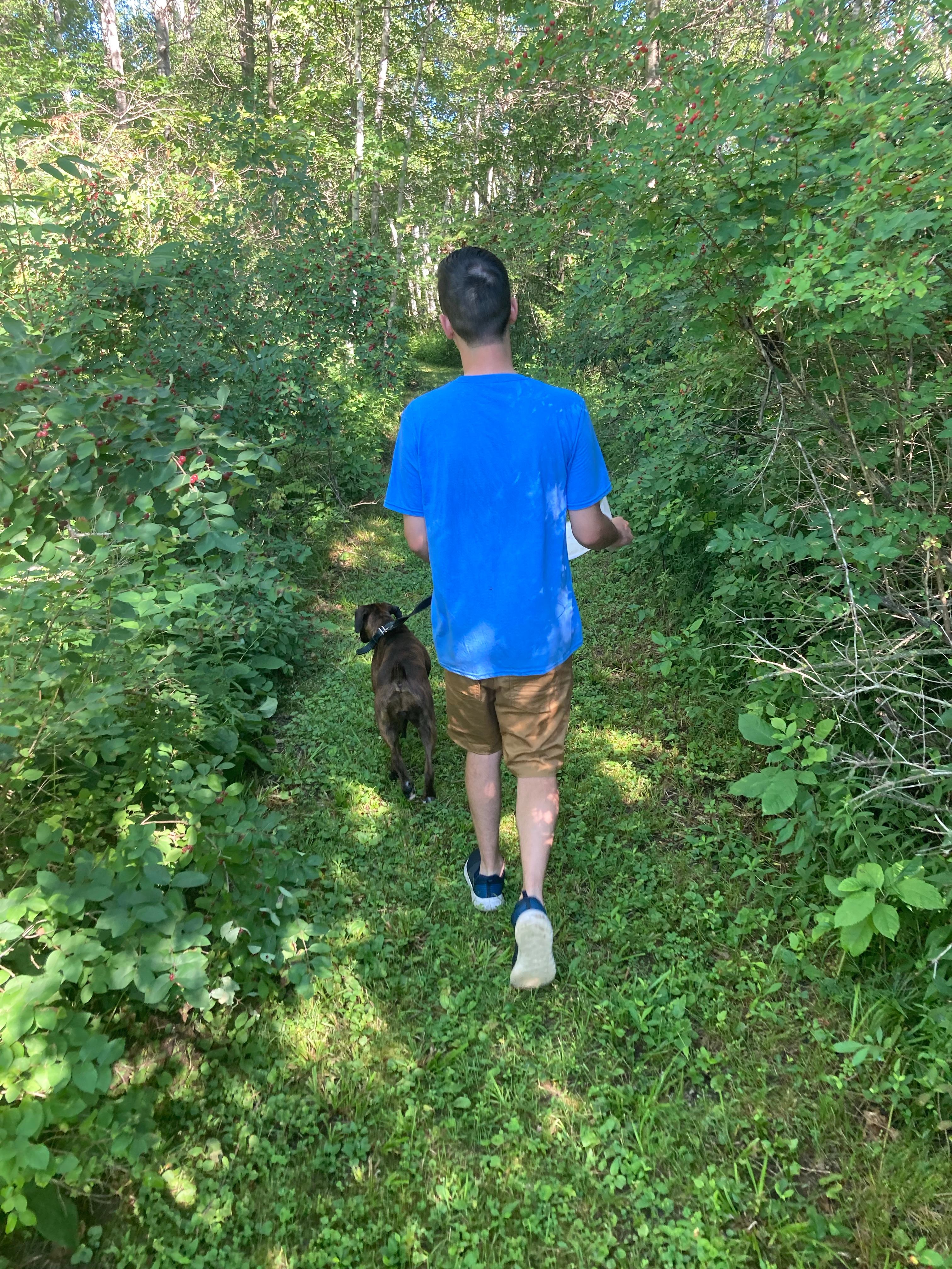 Spirits of the Forest