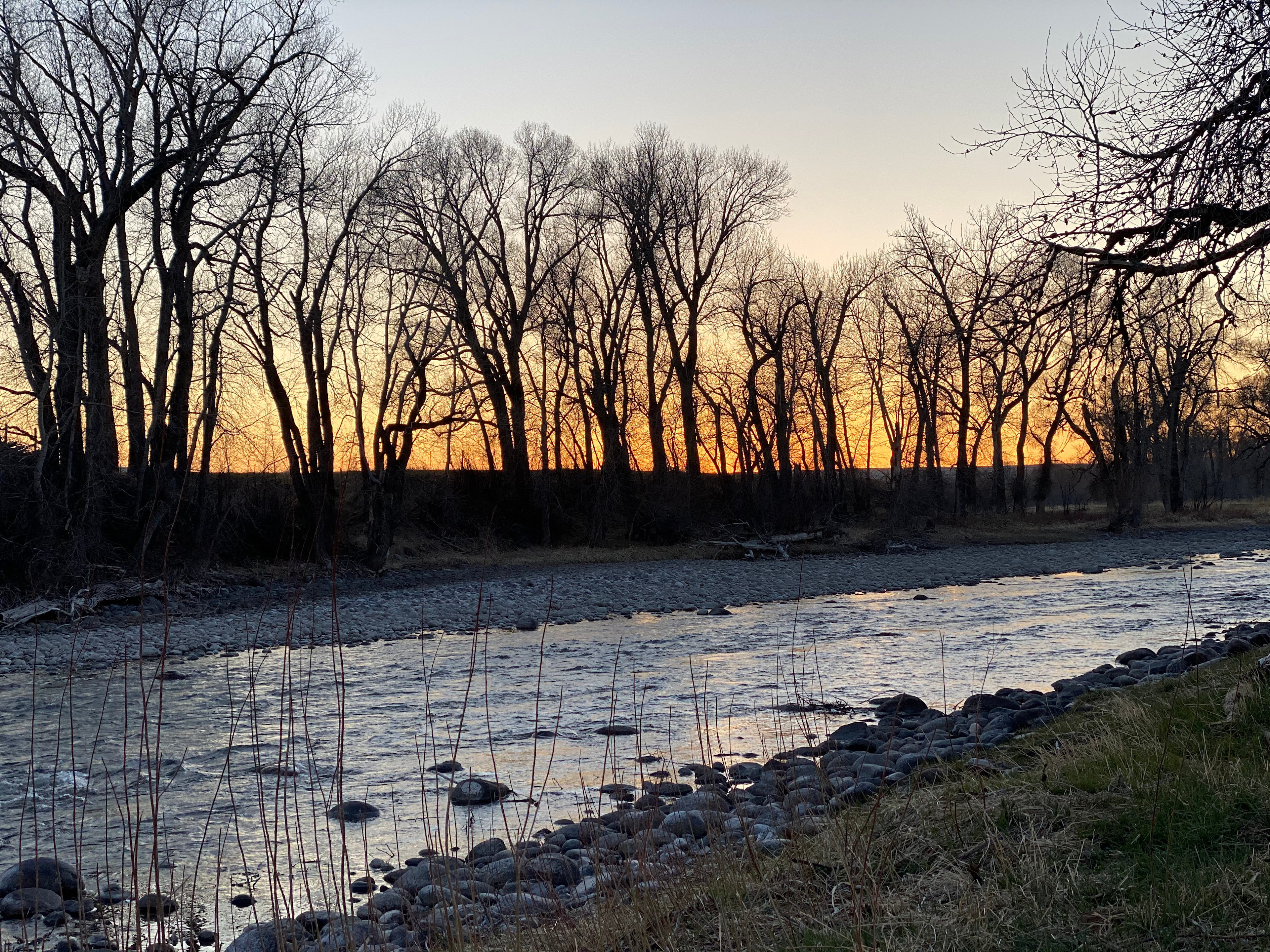 Solitude on the Meadow by the River
