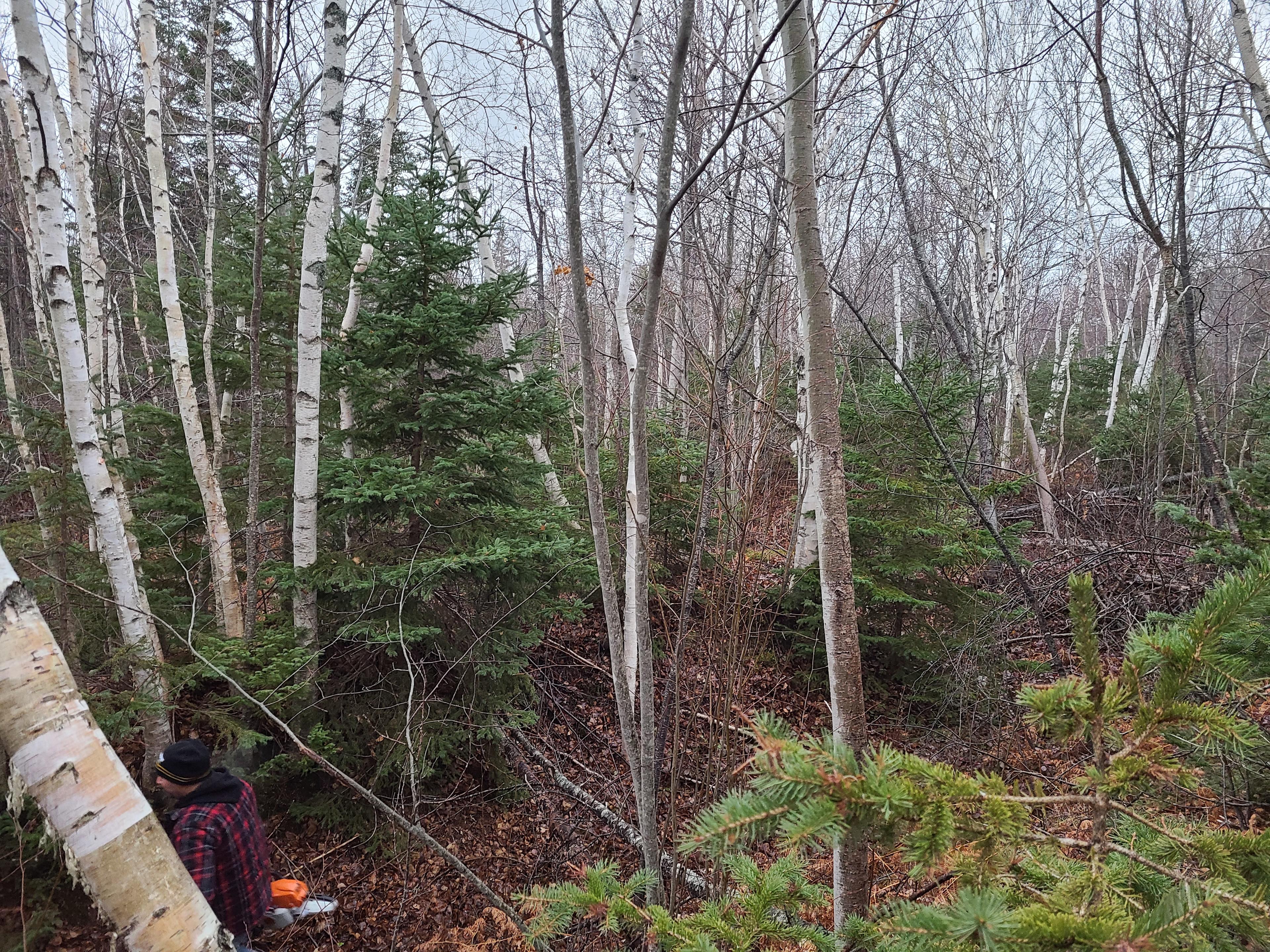 PEI Bush Camping