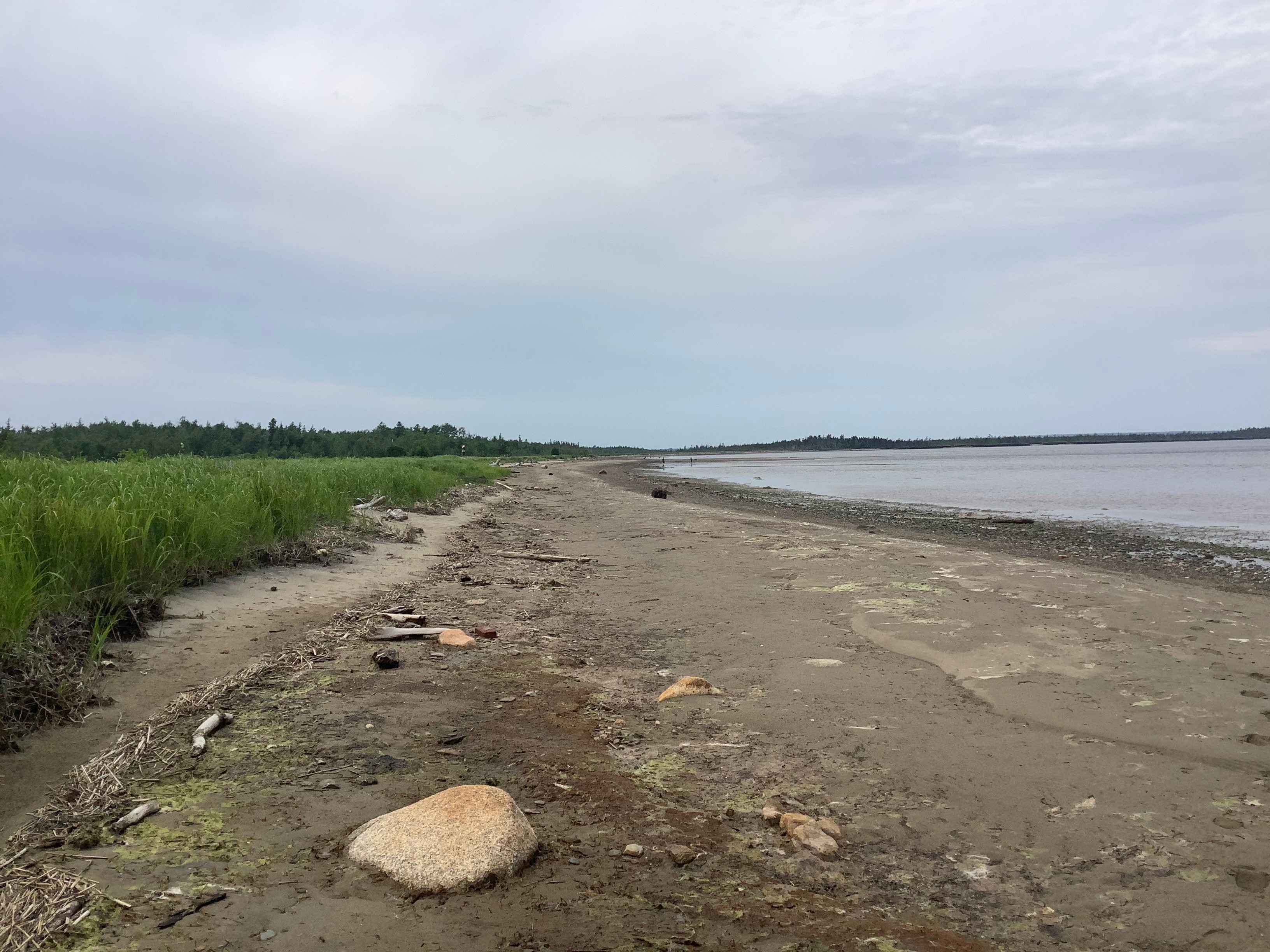 Tiny Beach Haven (Campers Dream)