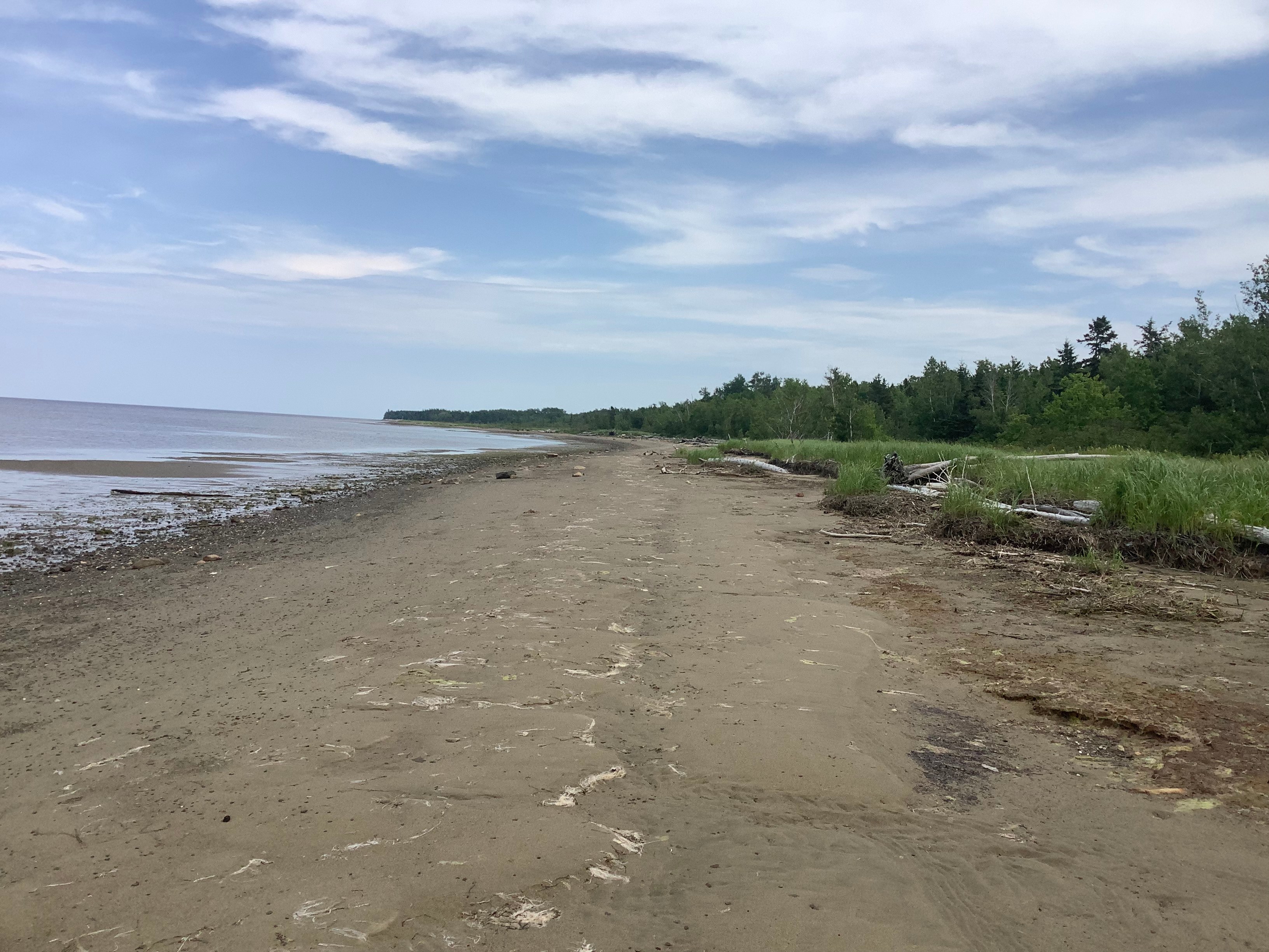 Tiny Beach Haven (Campers Dream)