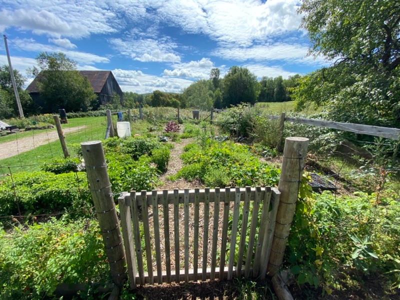 Many gardens.