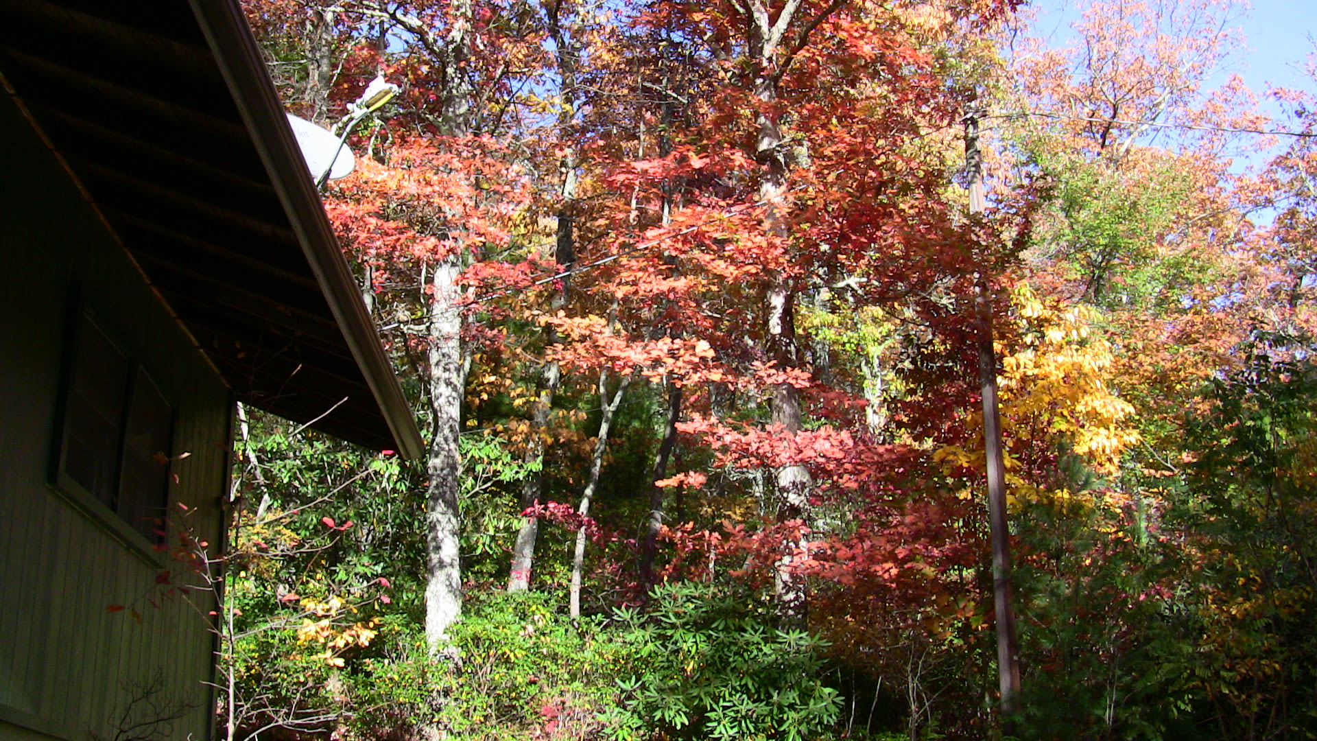 land around tent deck