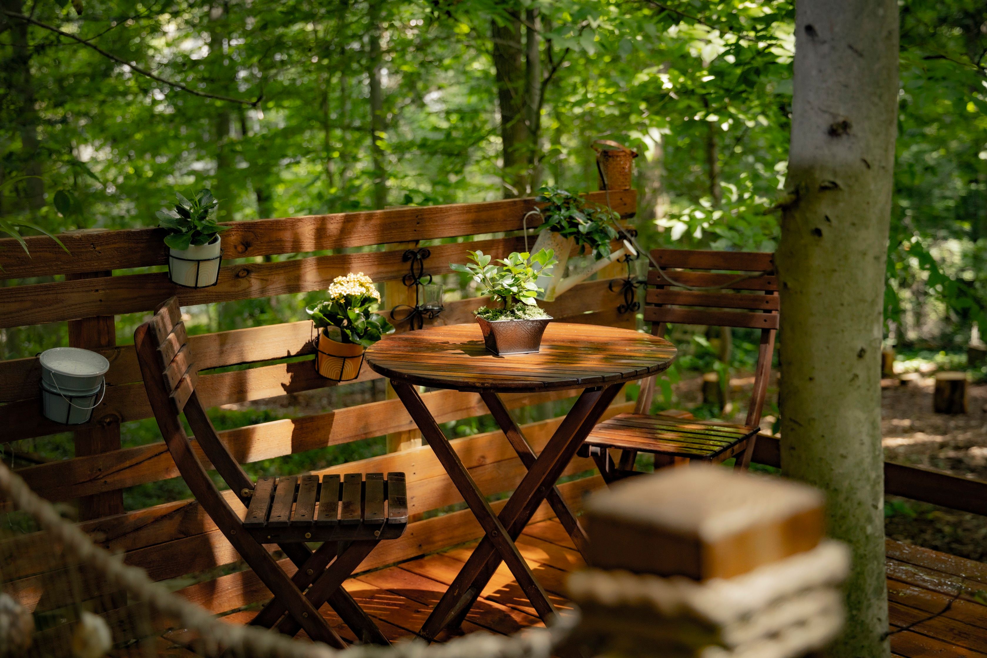 The Urban Forest Retreat Tinyhouse