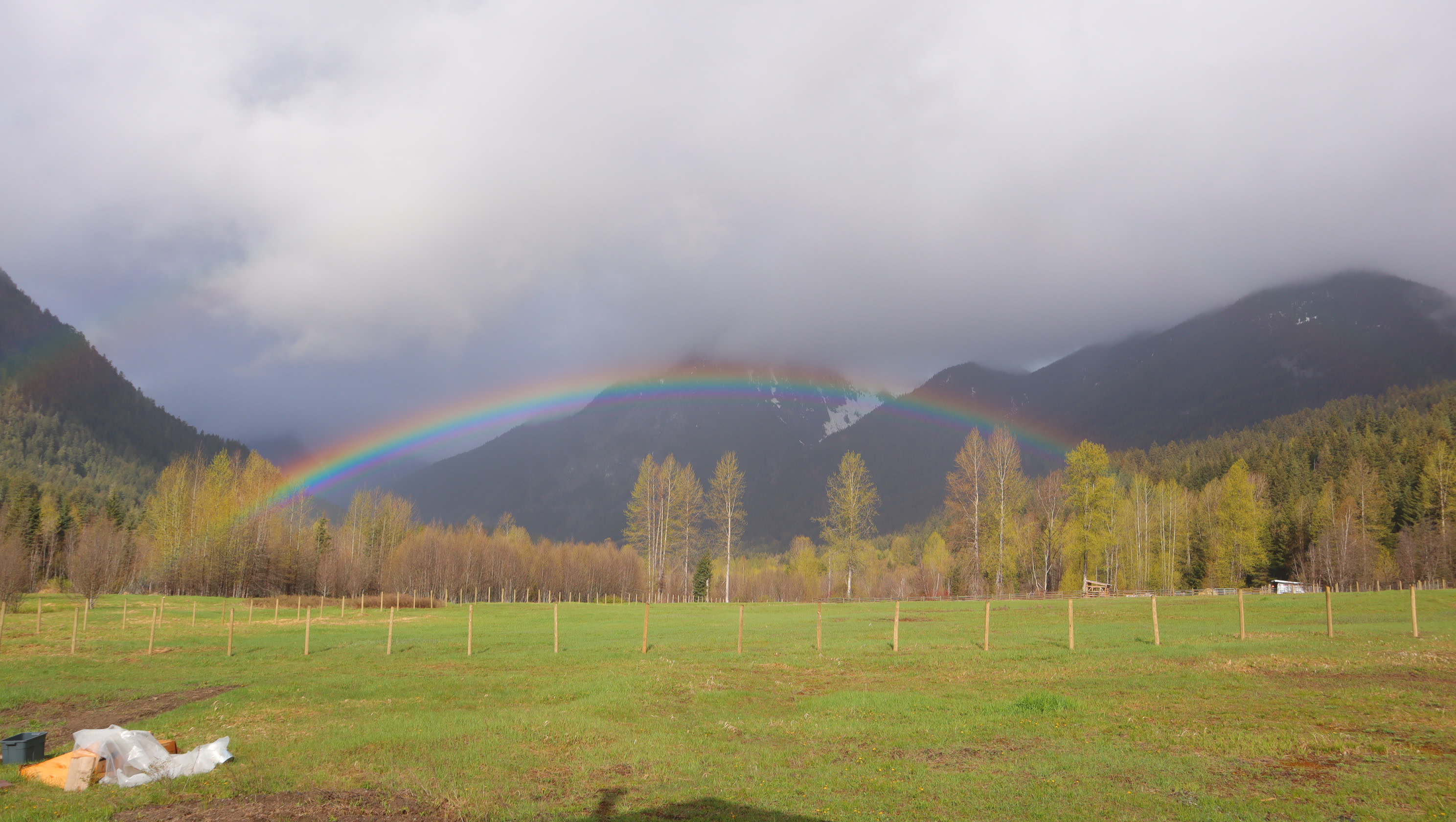 Double Rainbow <3
