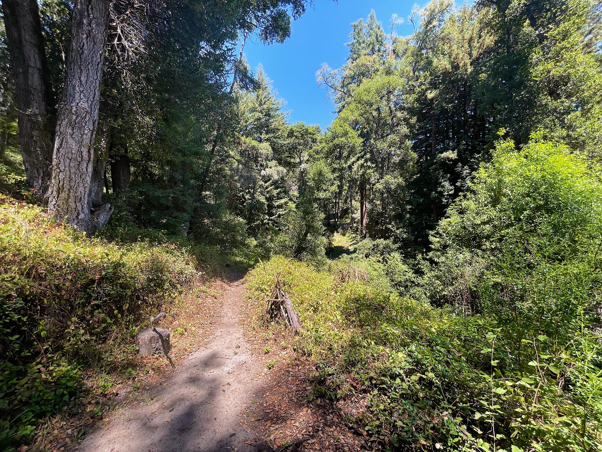 Path