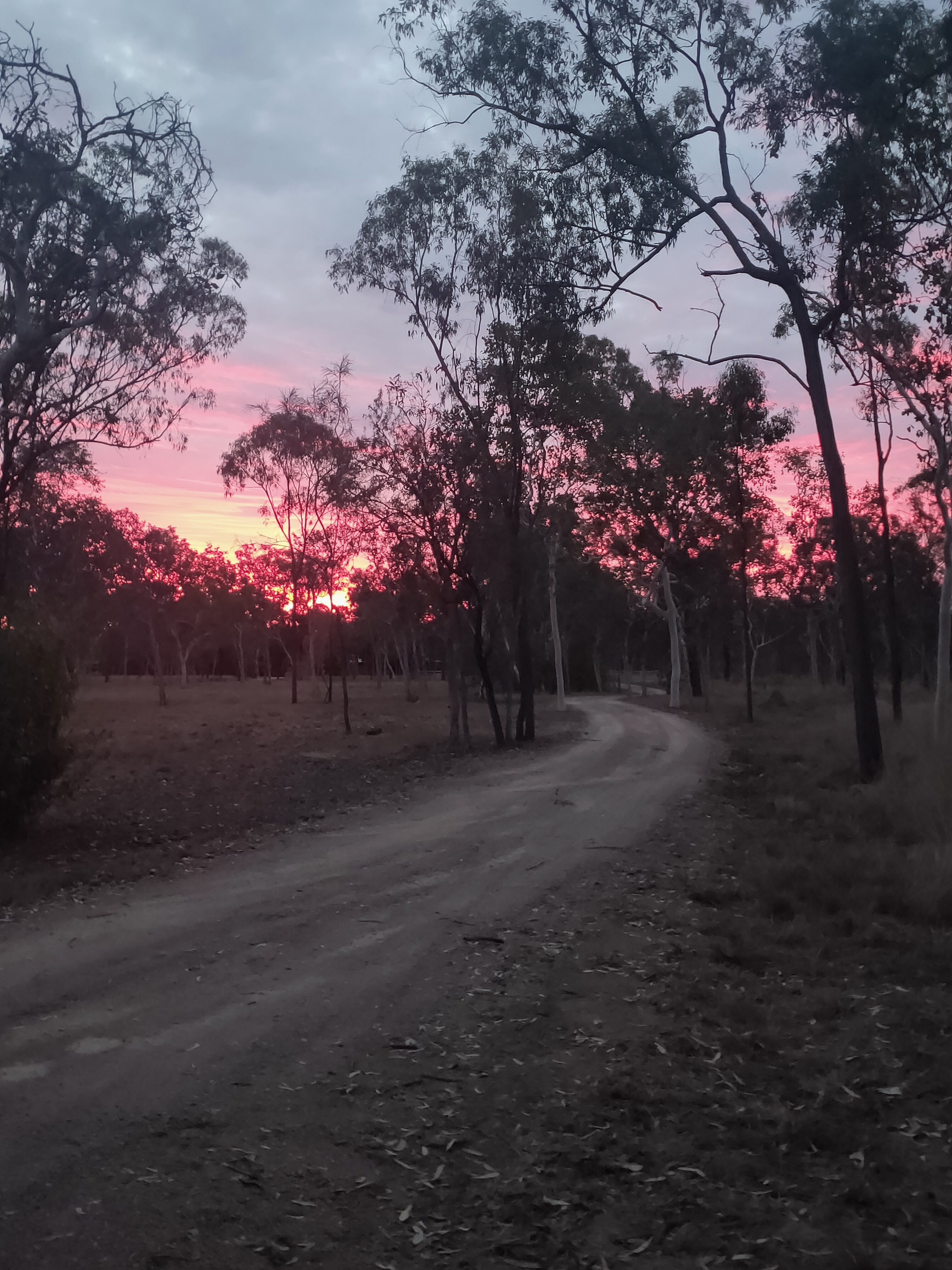 Black River Bush Retreat