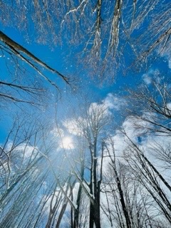 Baber Mountain Sanctuary