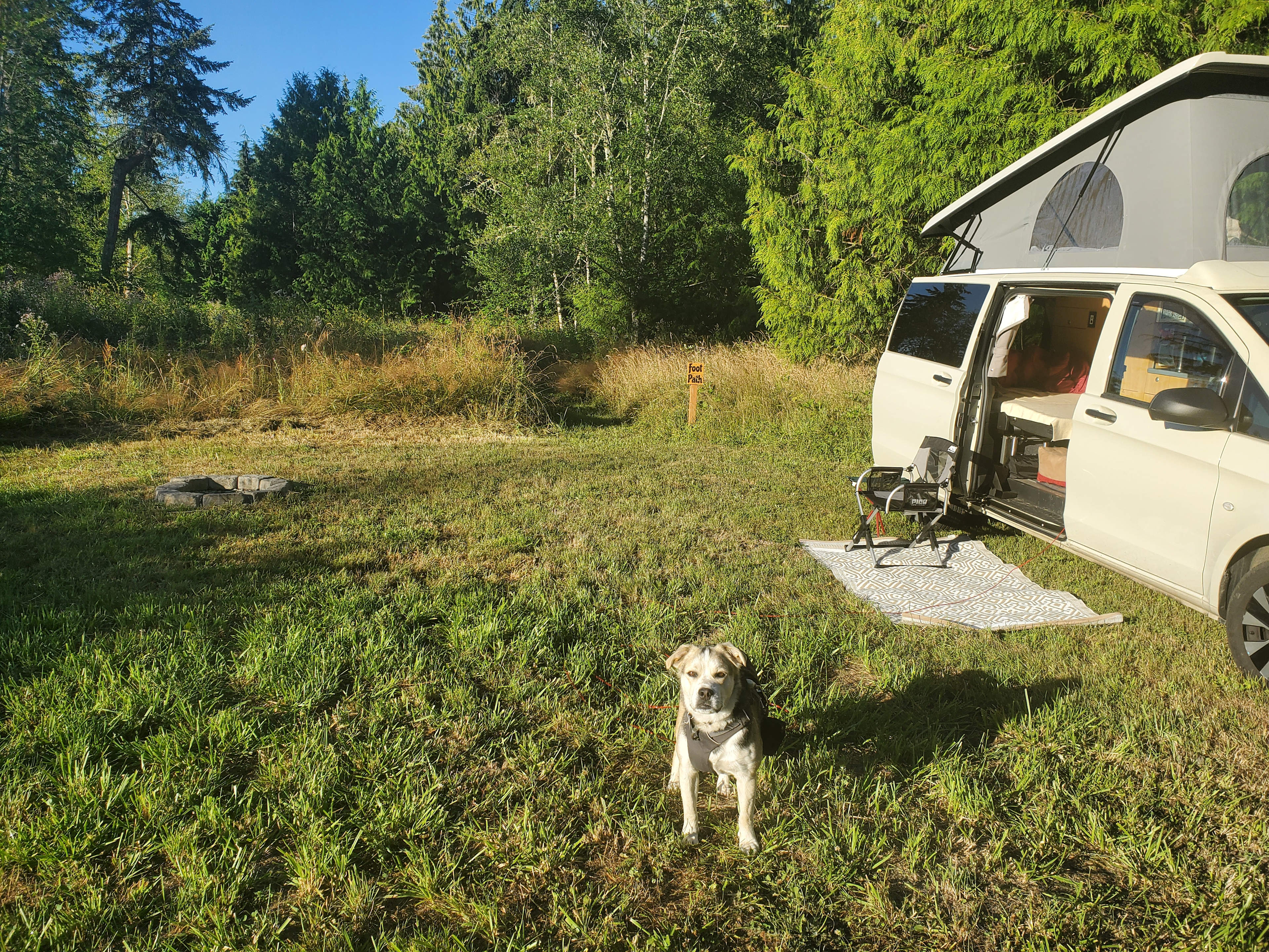 Several grassy paths on the property